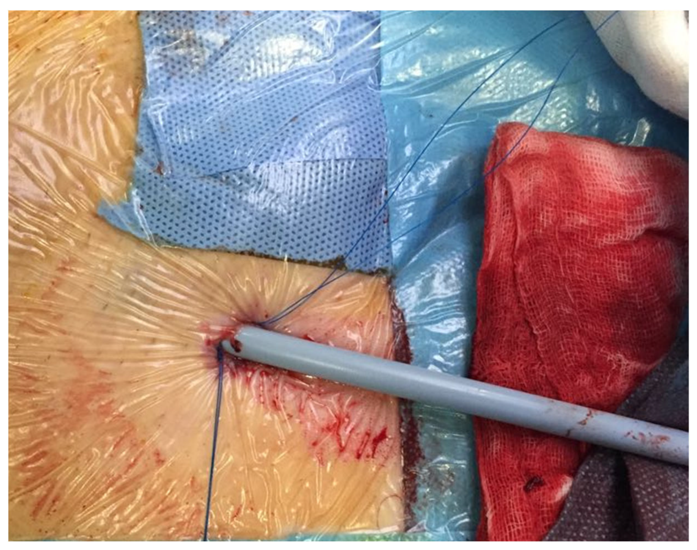 Life 14 01113 g003 Life 14 01113 g003