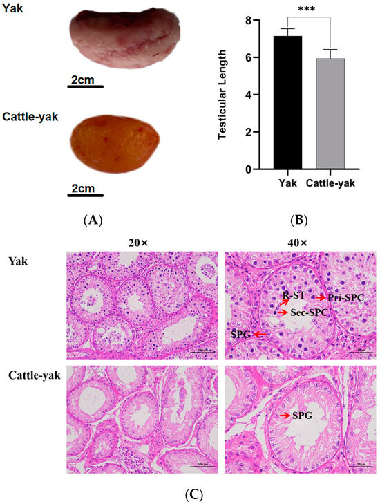 jun Frontiers | Systematic analysis of the interaction mechanism