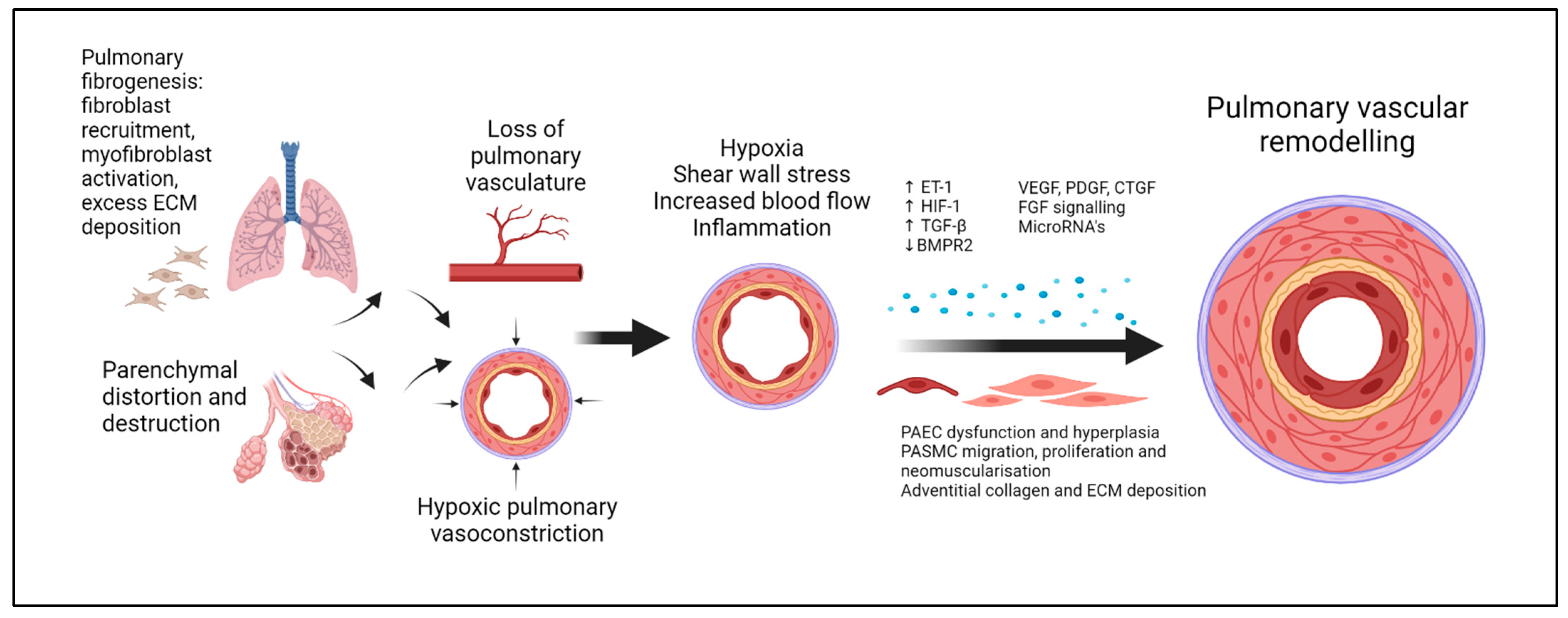 Life 14 01203 g002 Life 14 01203 g002