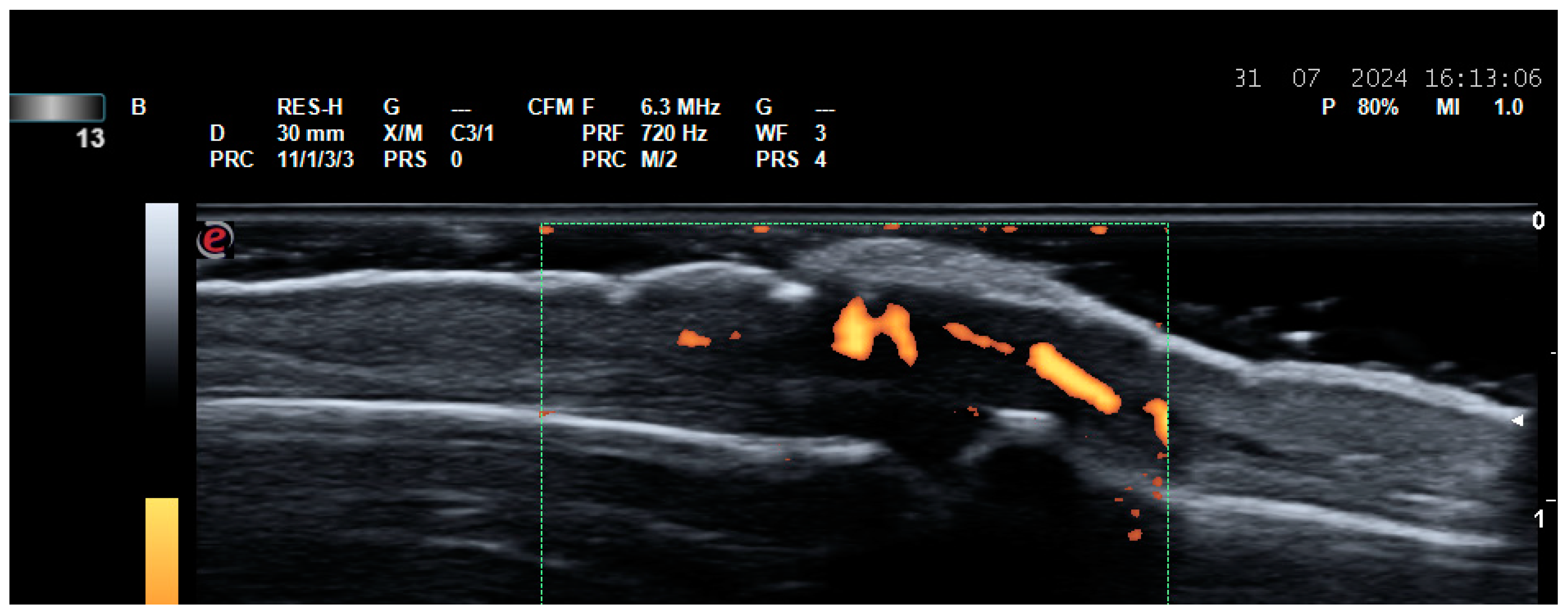 Life 14 01208 g002 Life 14 01208 g002