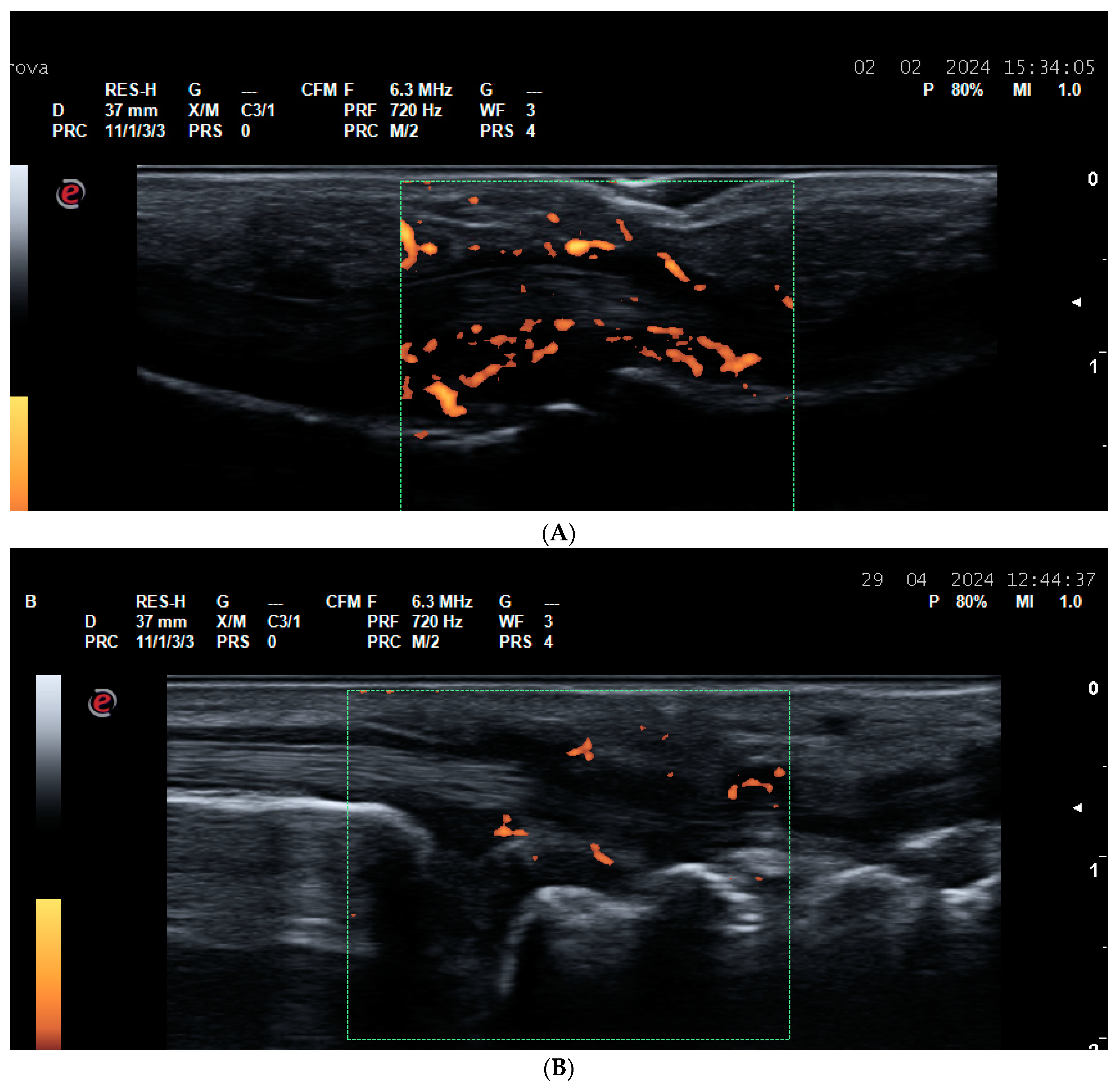 Life 14 01208 g003a Life 14 01208 g003a
