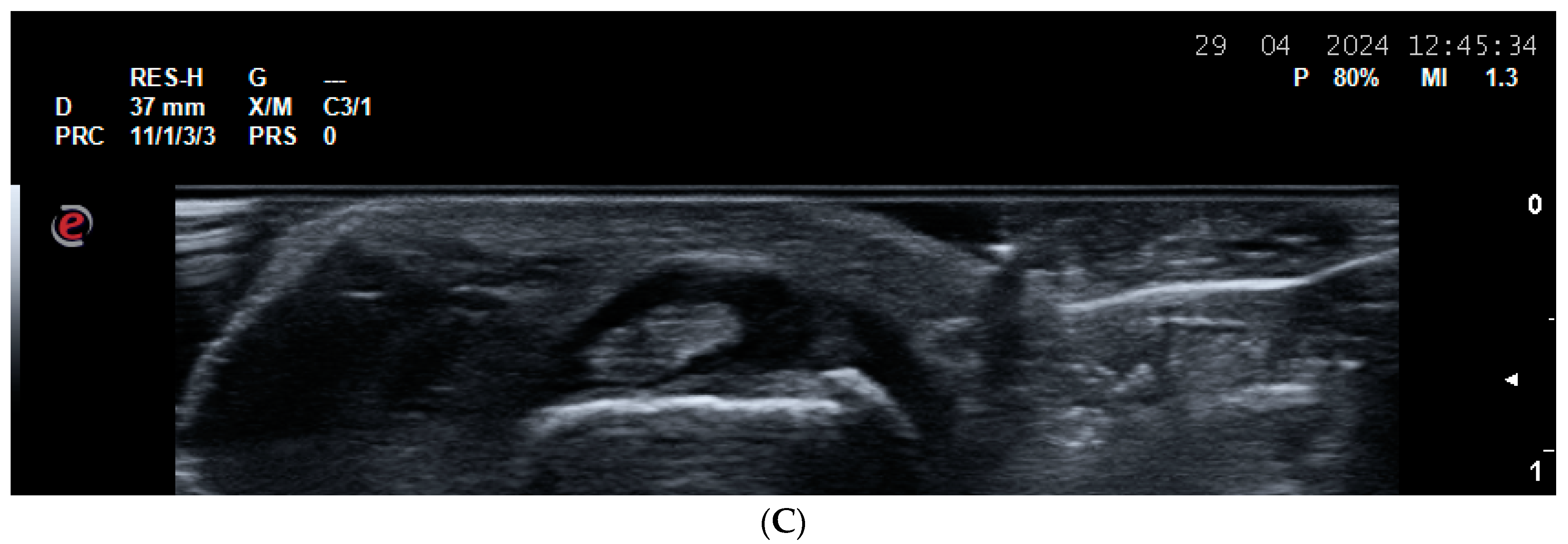 Life 14 01208 g003b Life 14 01208 g003b