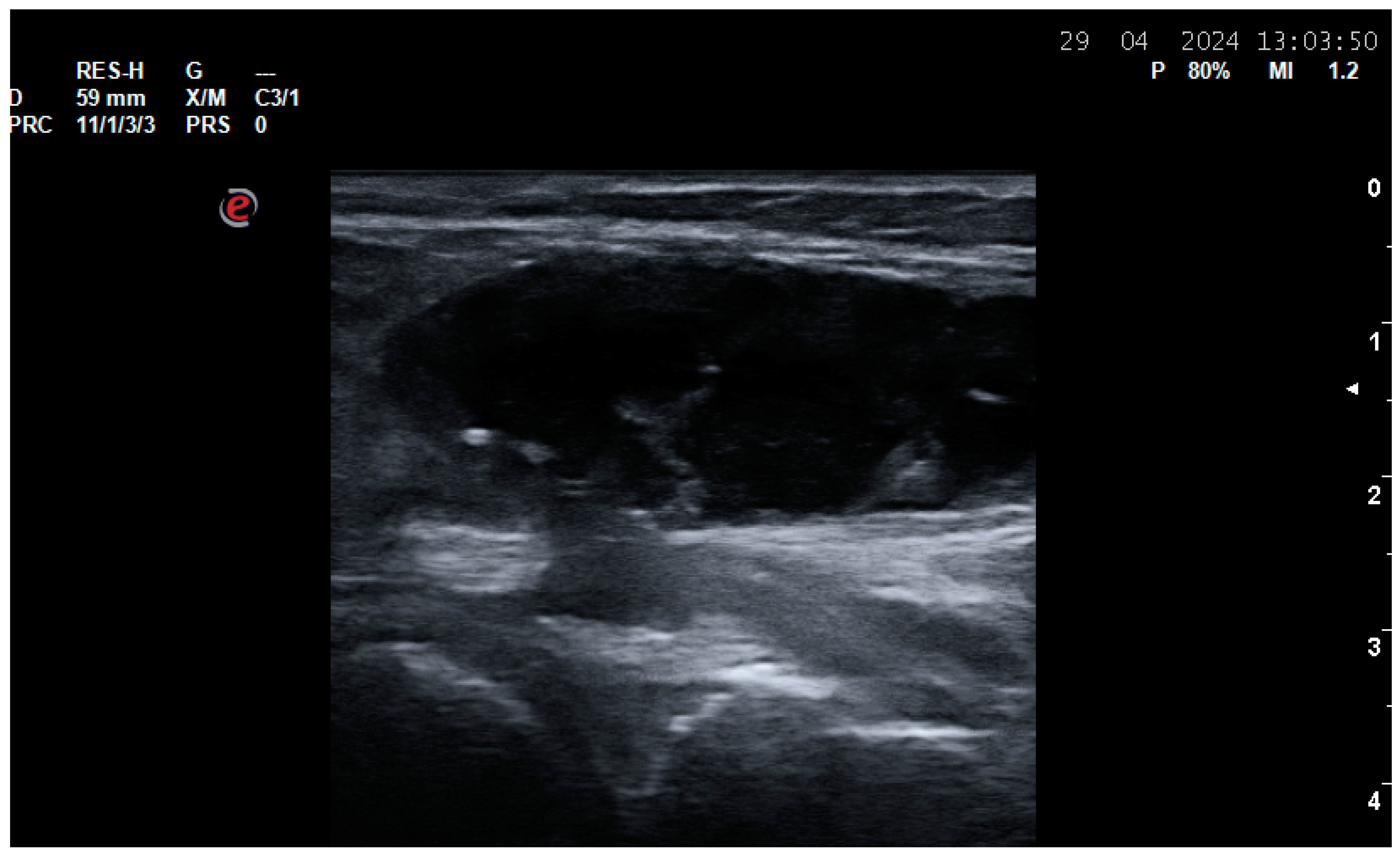 Life 14 01208 g005 Life 14 01208 g005