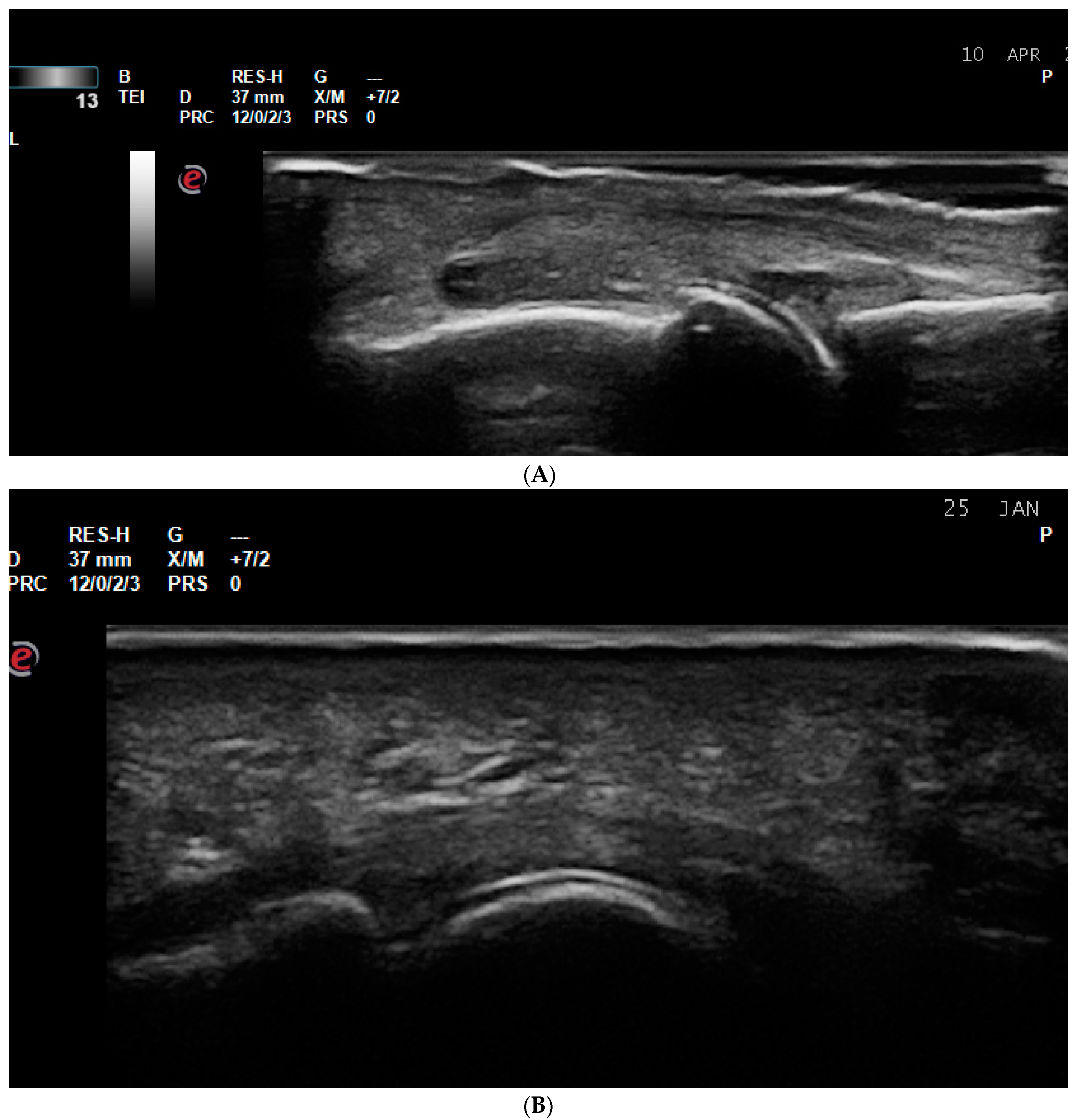 Life 14 01208 g006 Life 14 01208 g006