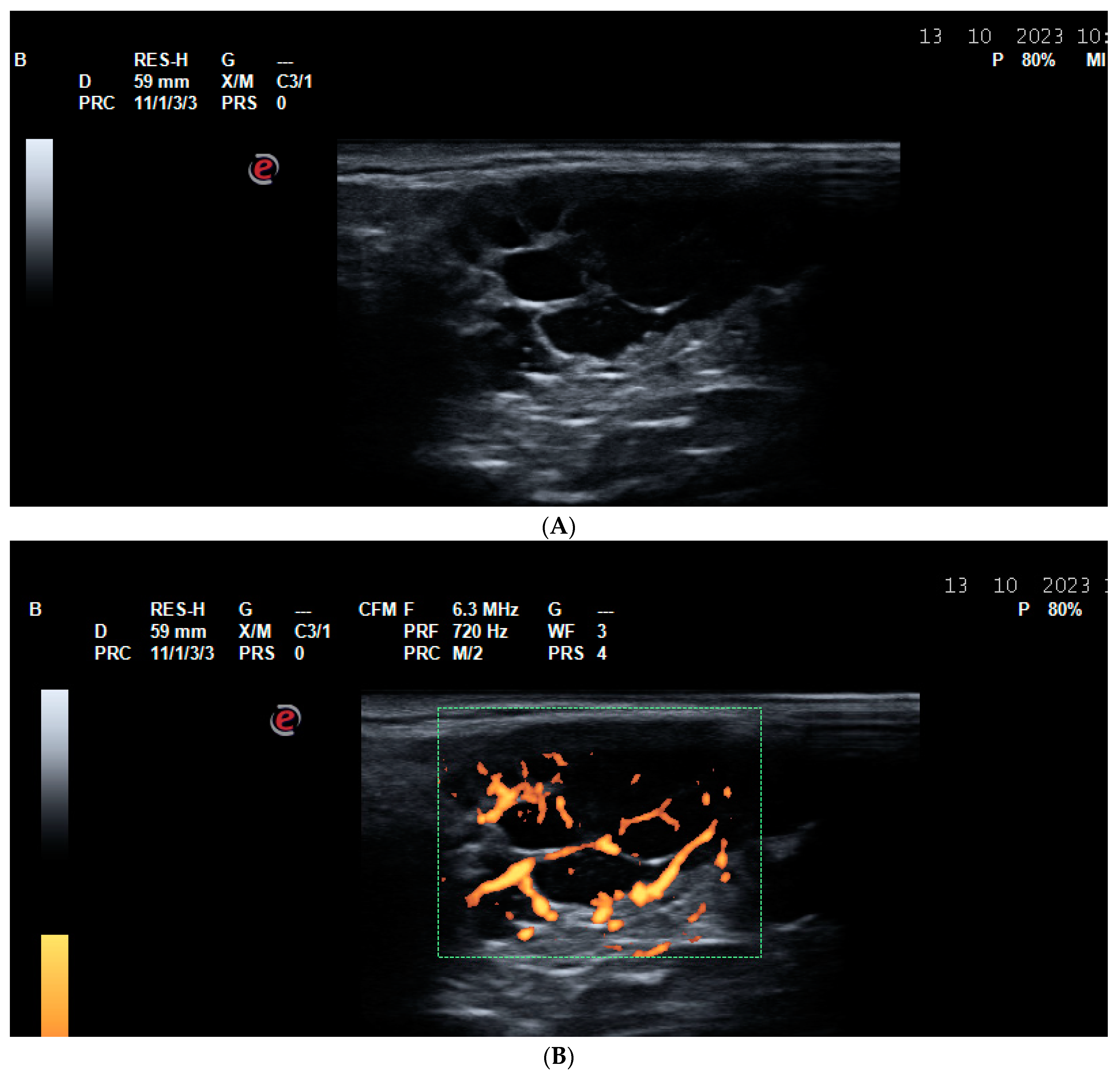 Life 14 01208 g008 Life 14 01208 g008