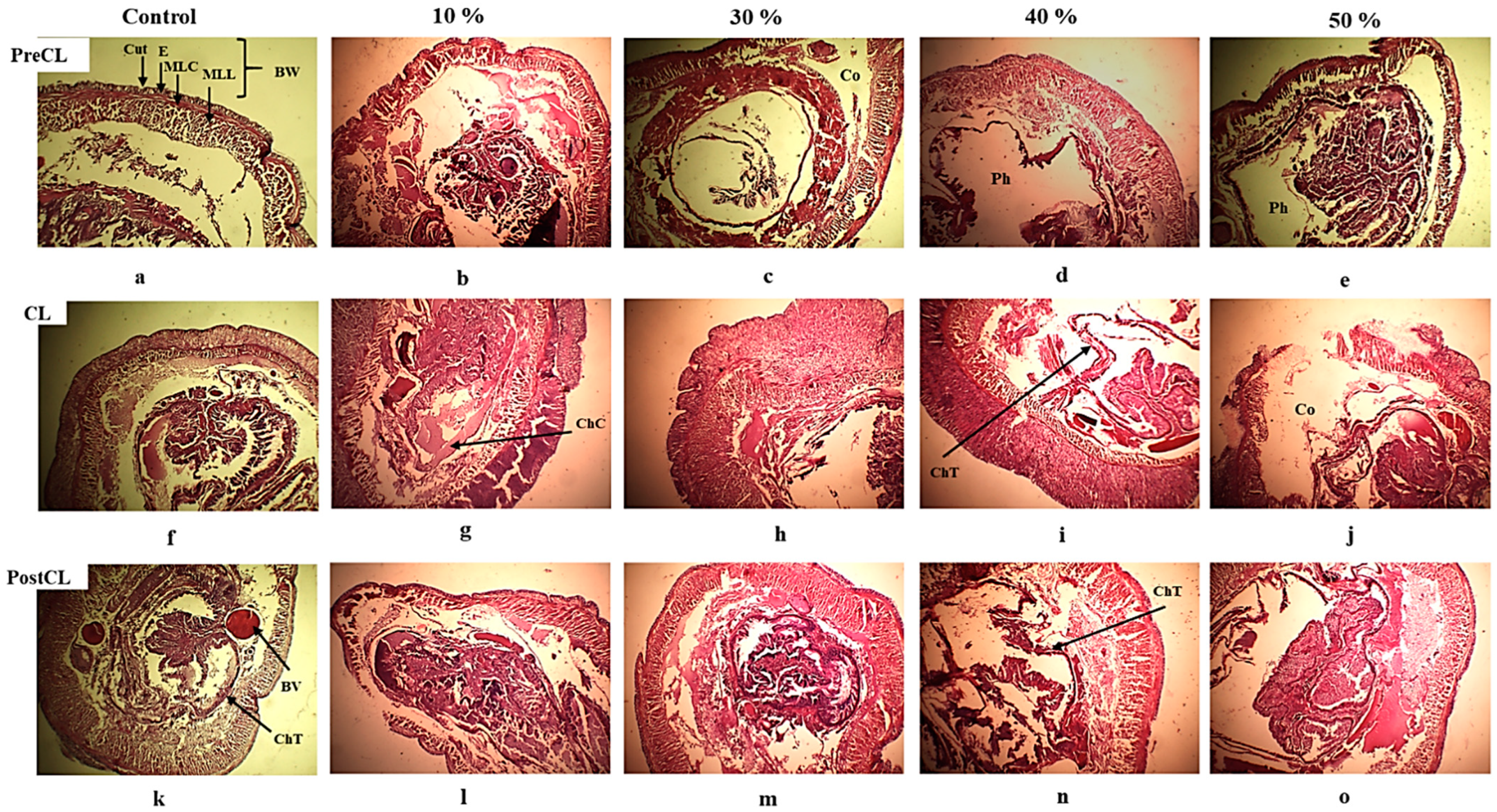 Life 14 01209 g004 Life 14 01209 g004