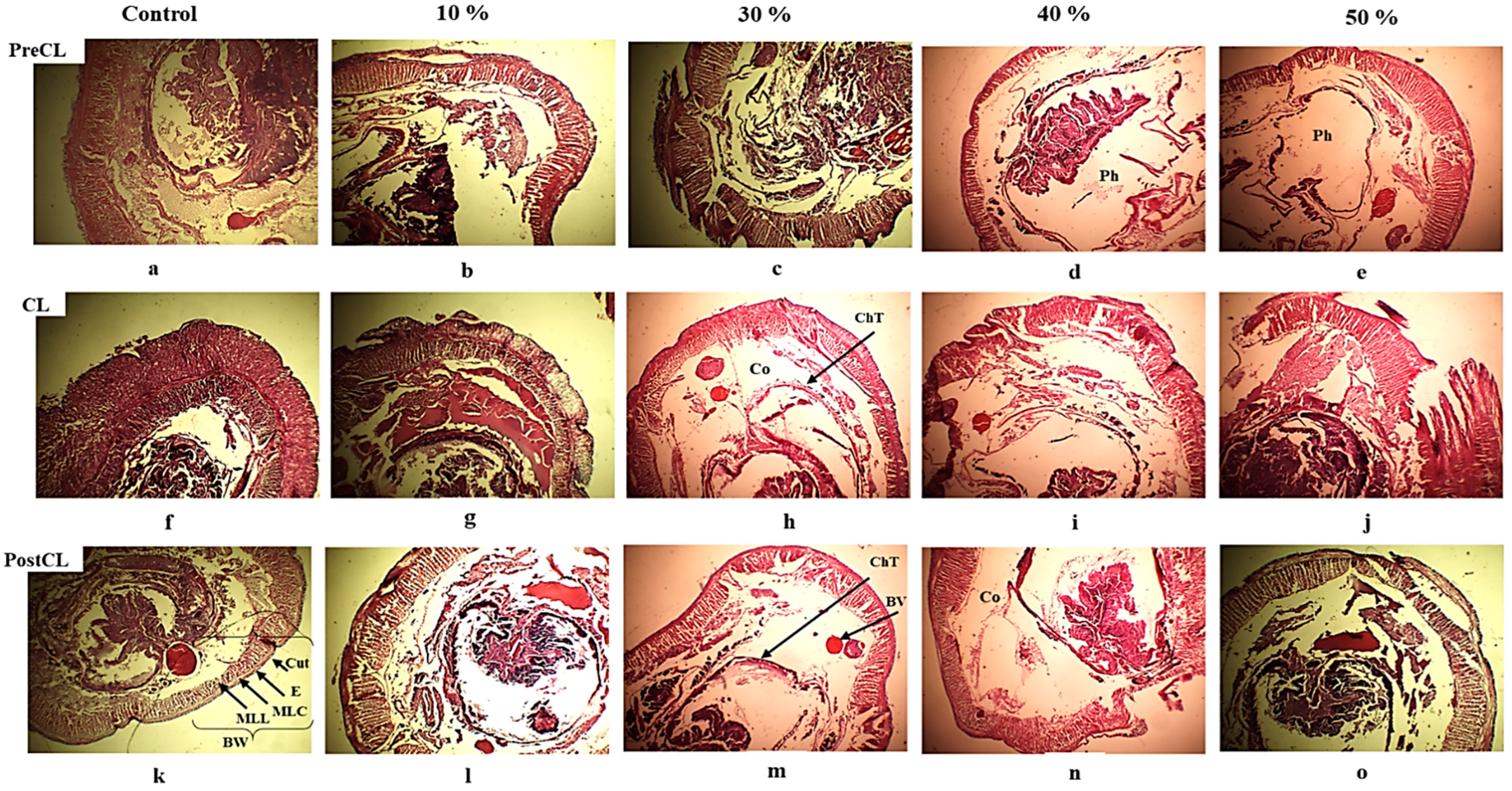 Life 14 01209 g005 Life 14 01209 g005