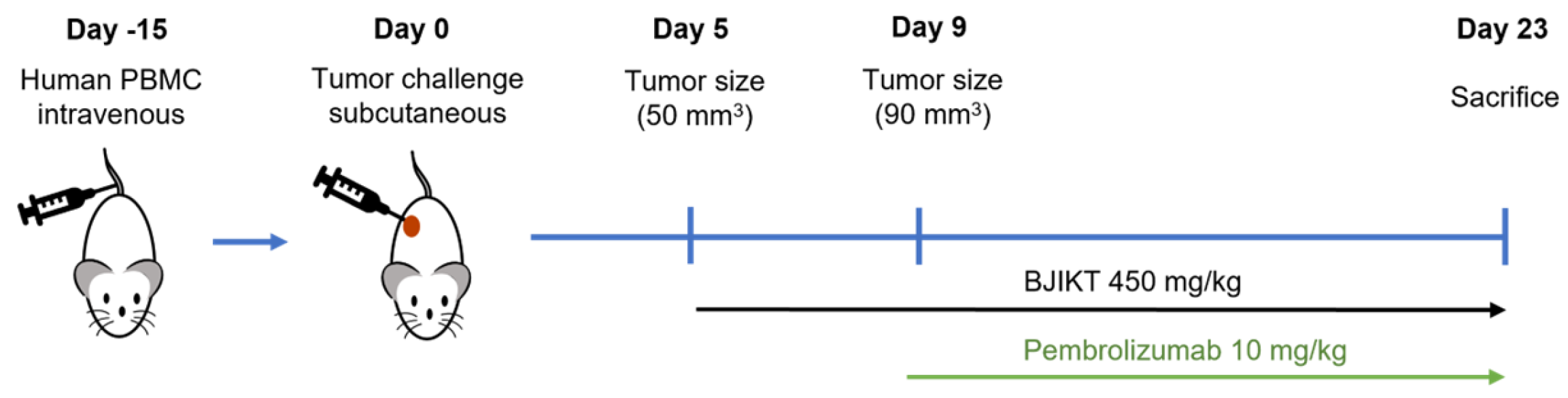 Life 14 01246 g001 Life 14 01246 g001