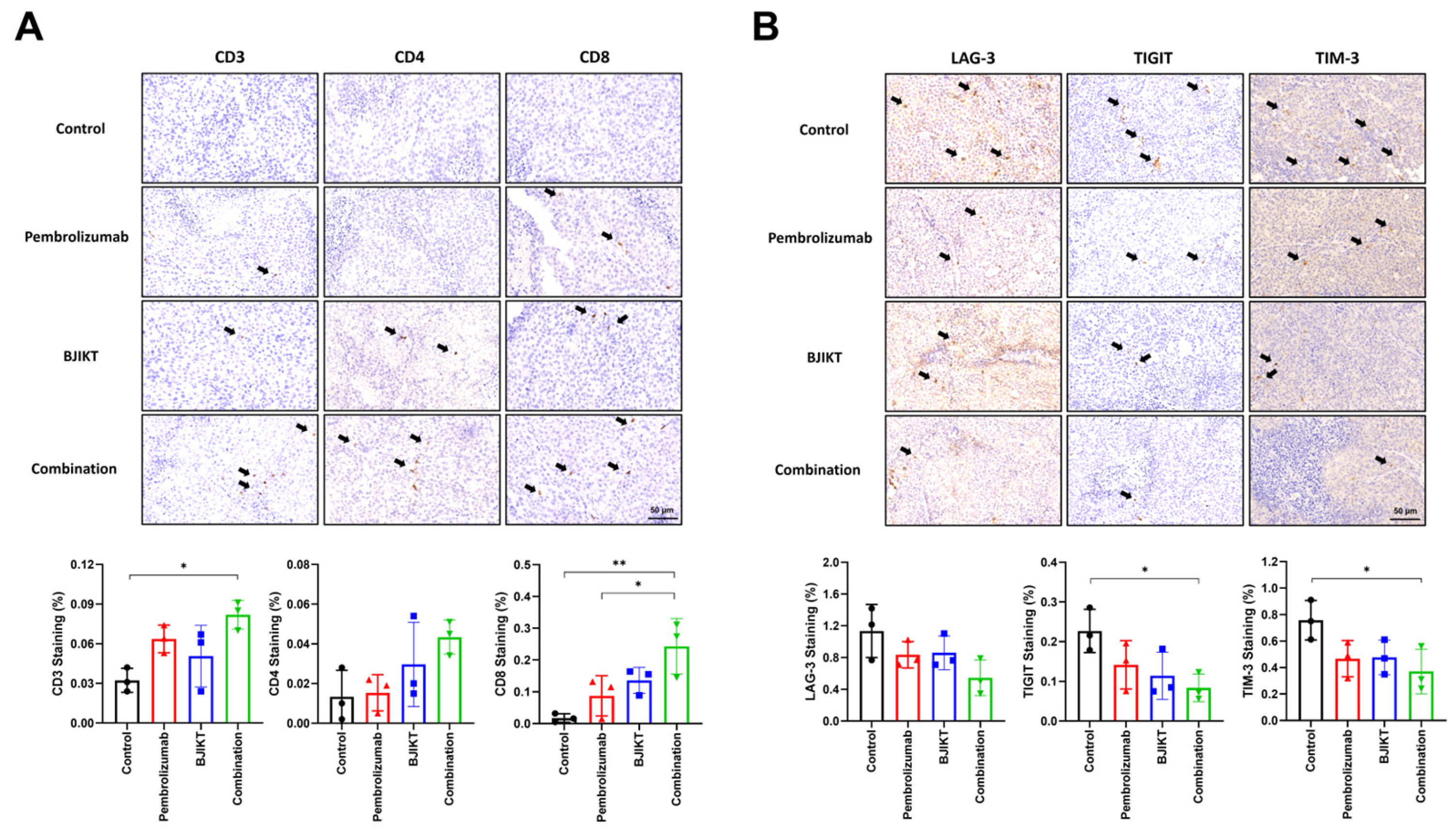 Life 14 01246 g003 Life 14 01246 g003