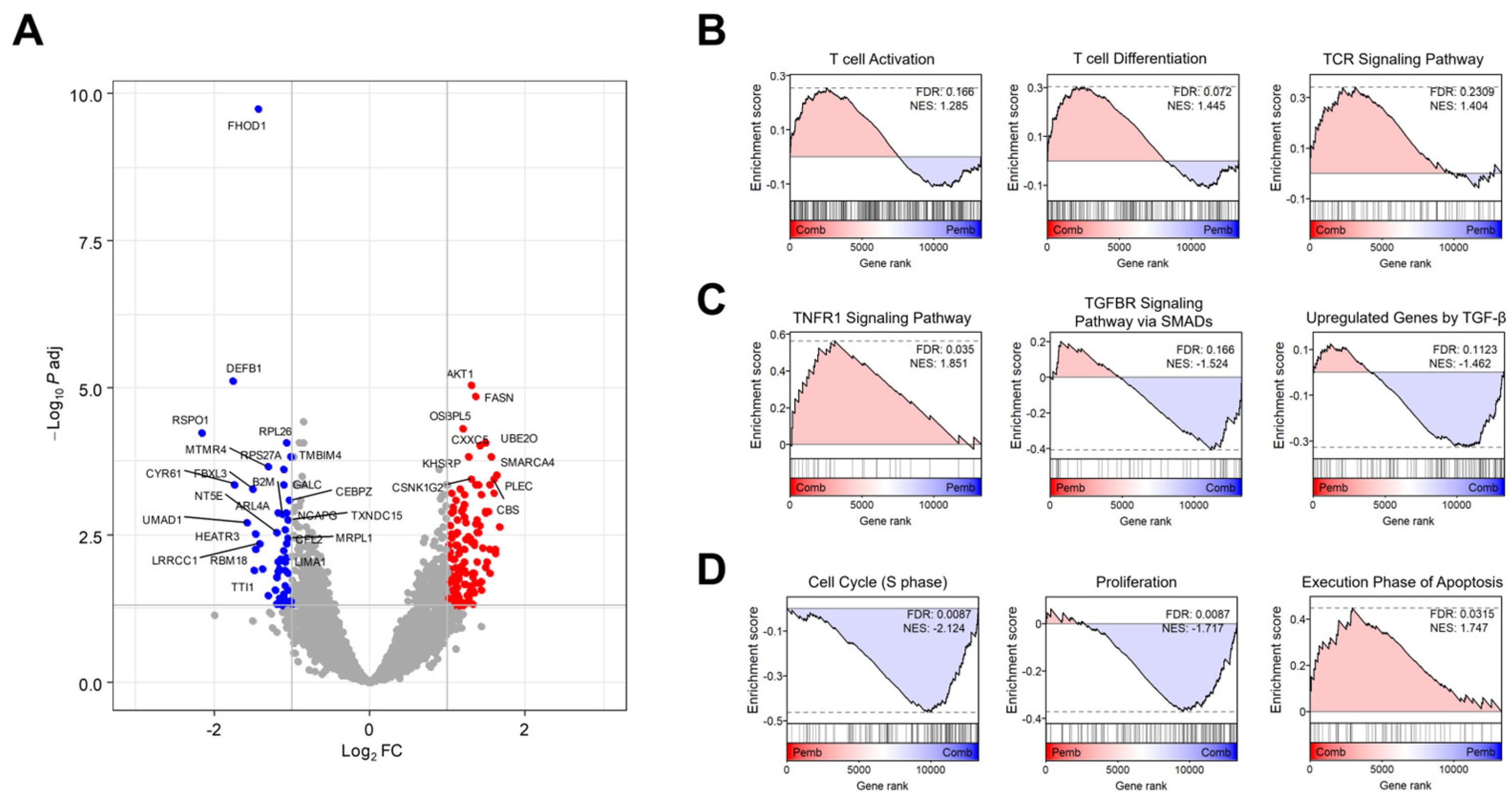 Life 14 01246 g004 Life 14 01246 g004