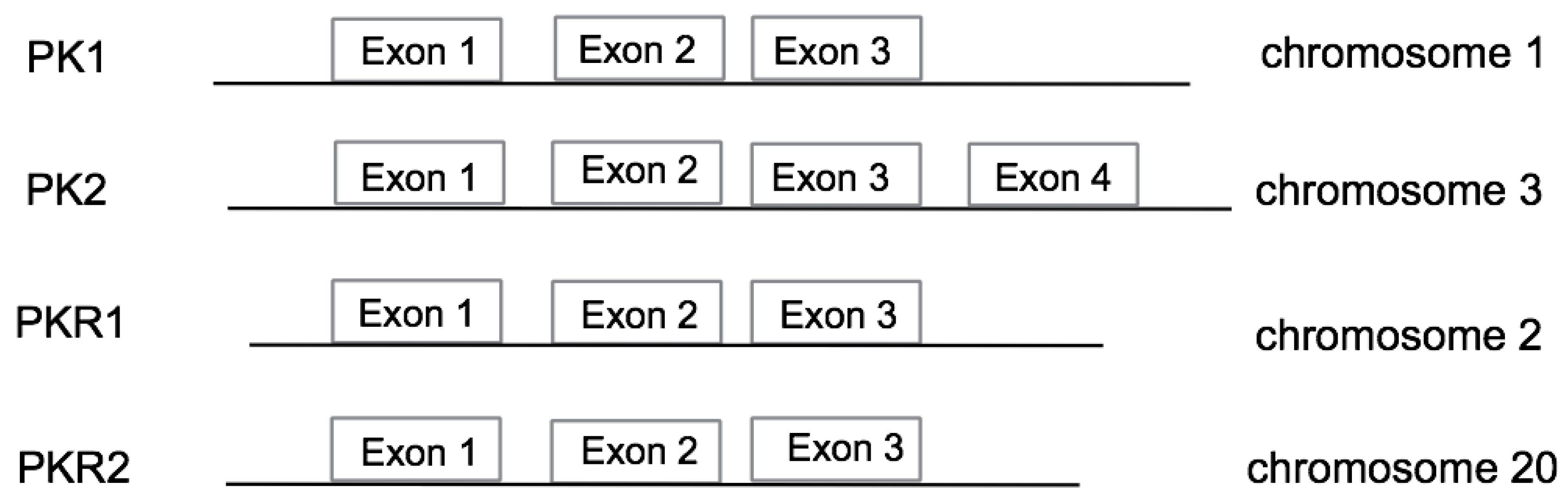 Life 14 01254 g001 Life 14 01254 g001