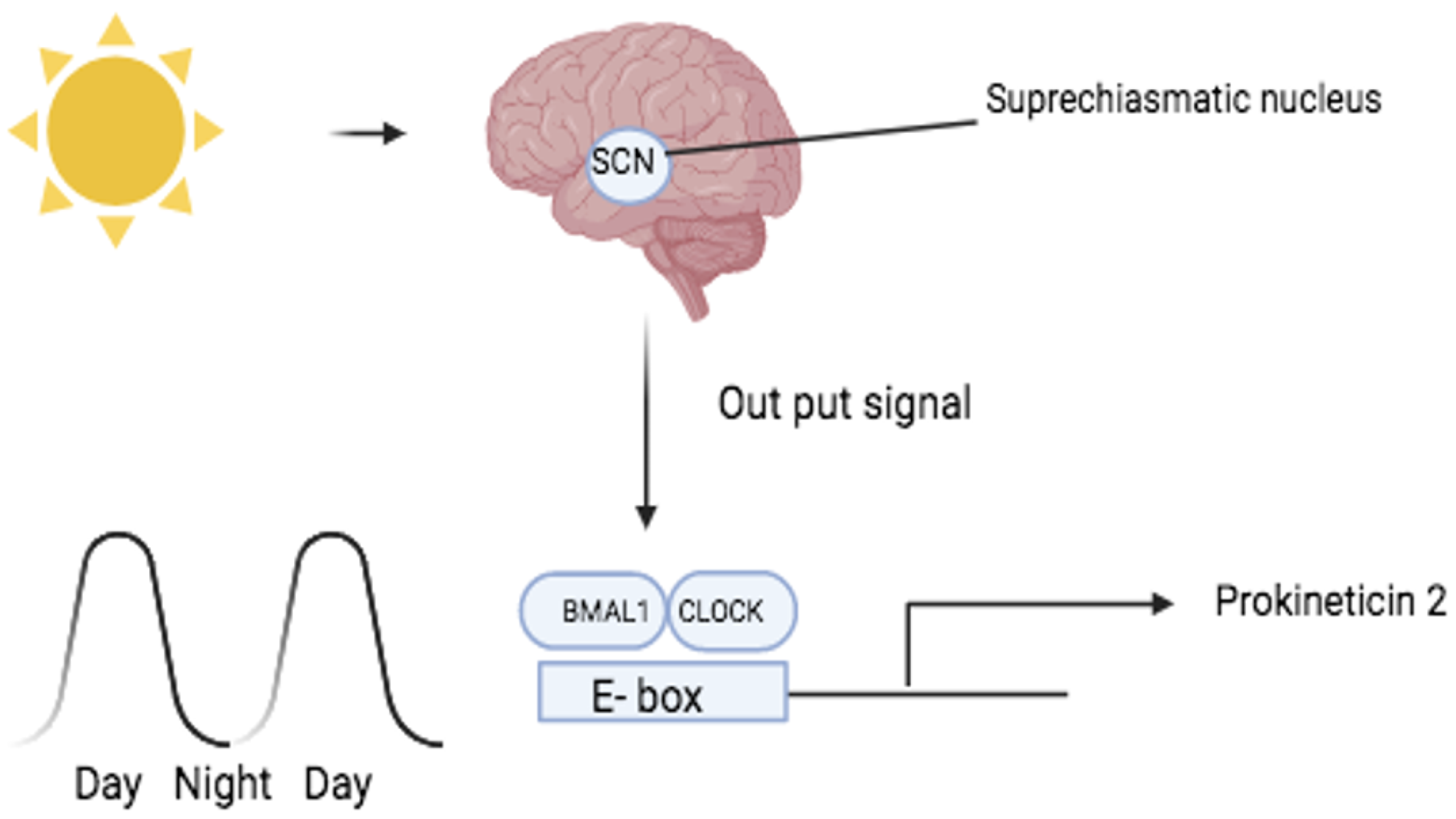 Life 14 01254 g002 Life 14 01254 g002