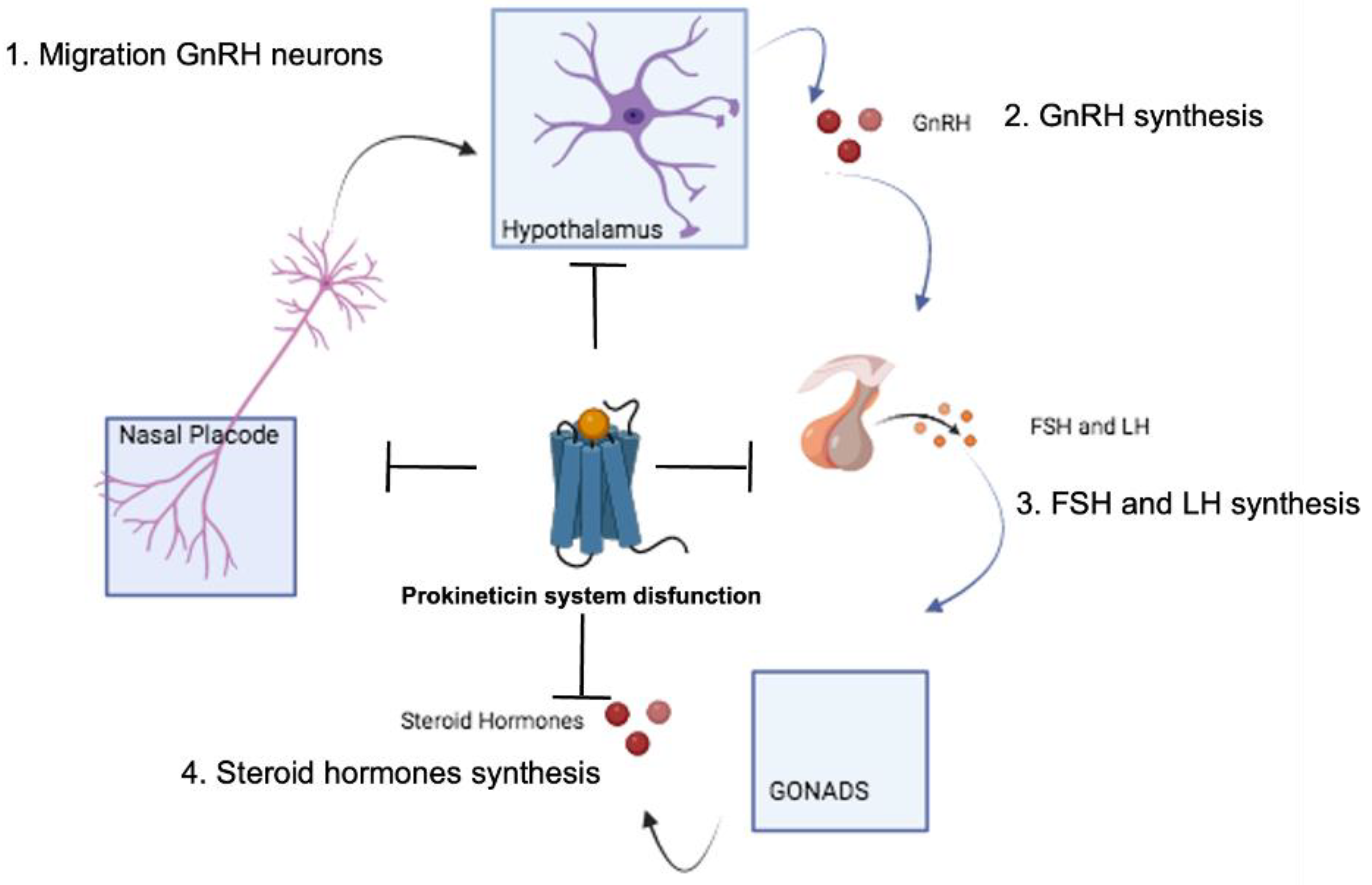 Life 14 01254 g003 Life 14 01254 g003