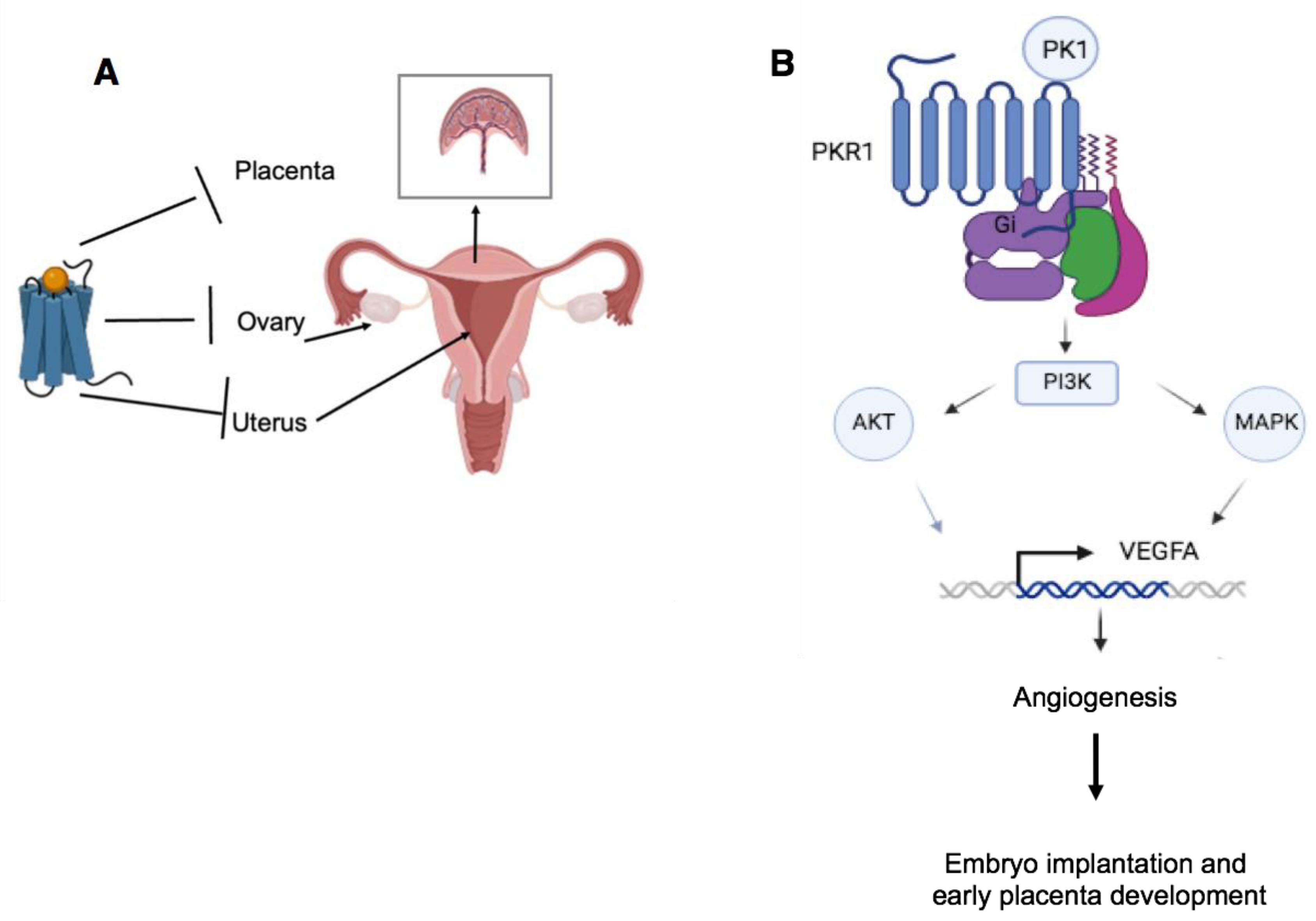 Life 14 01254 g004 Life 14 01254 g004