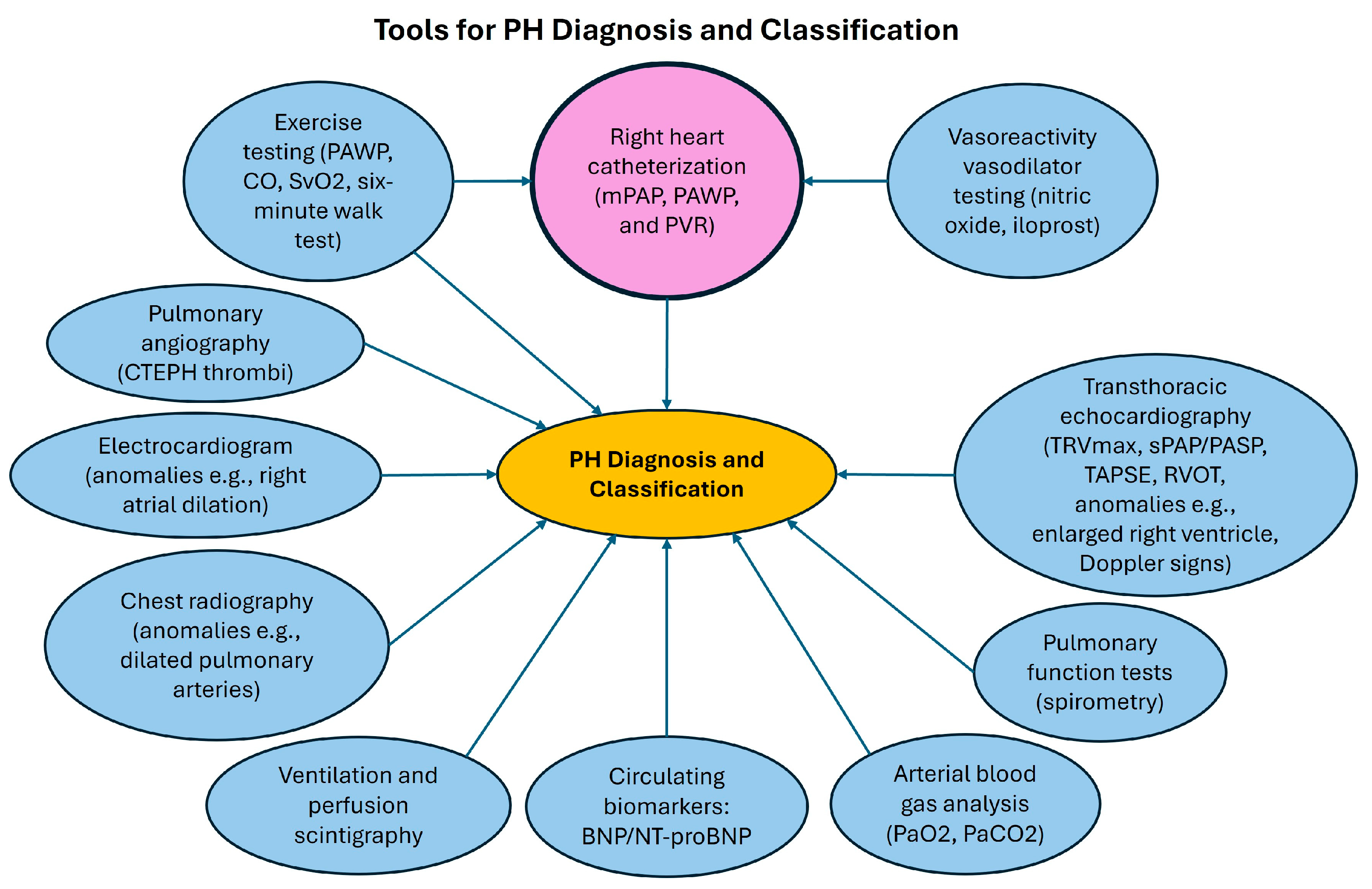 Life 14 01265 g001 Life 14 01265 g001