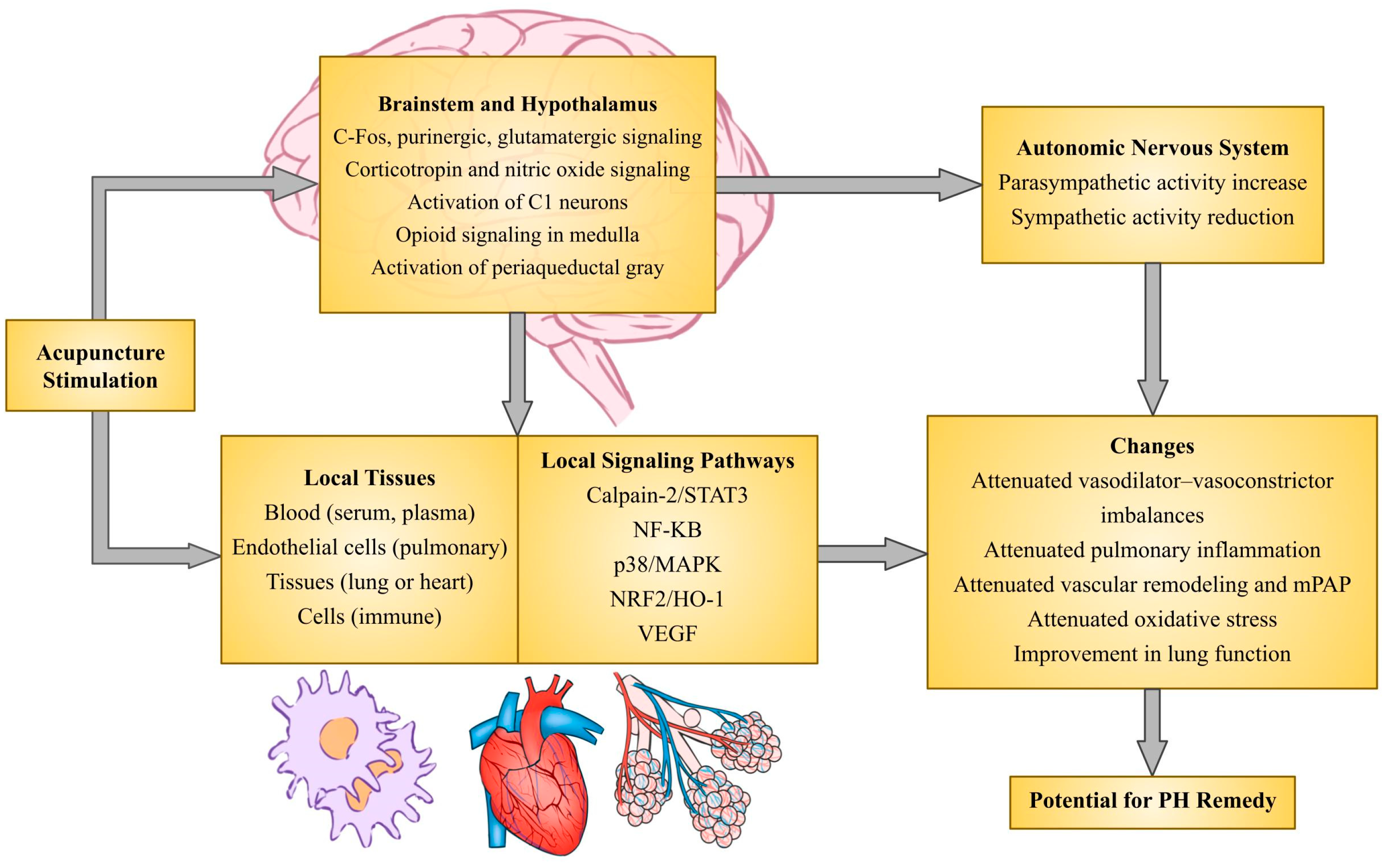 Life 14 01265 g002 Life 14 01265 g002