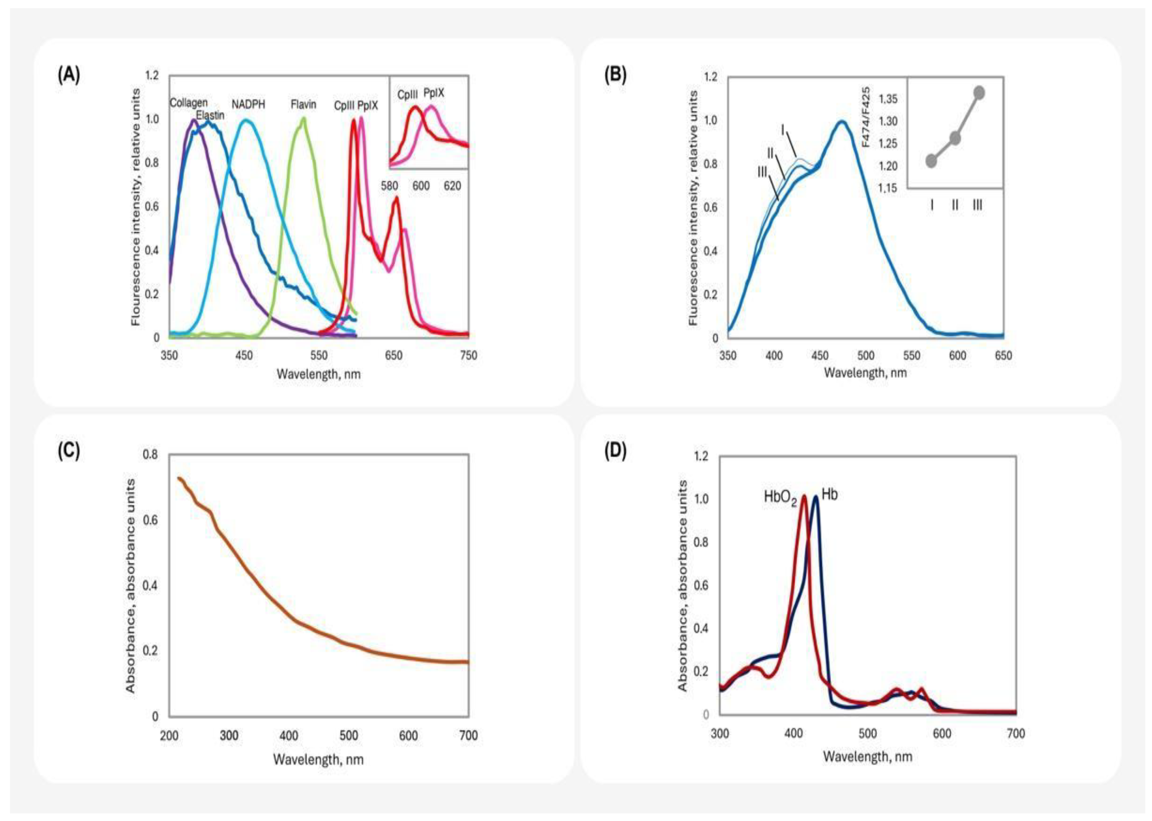 Life 14 01271 g002 Life 14 01271 g002