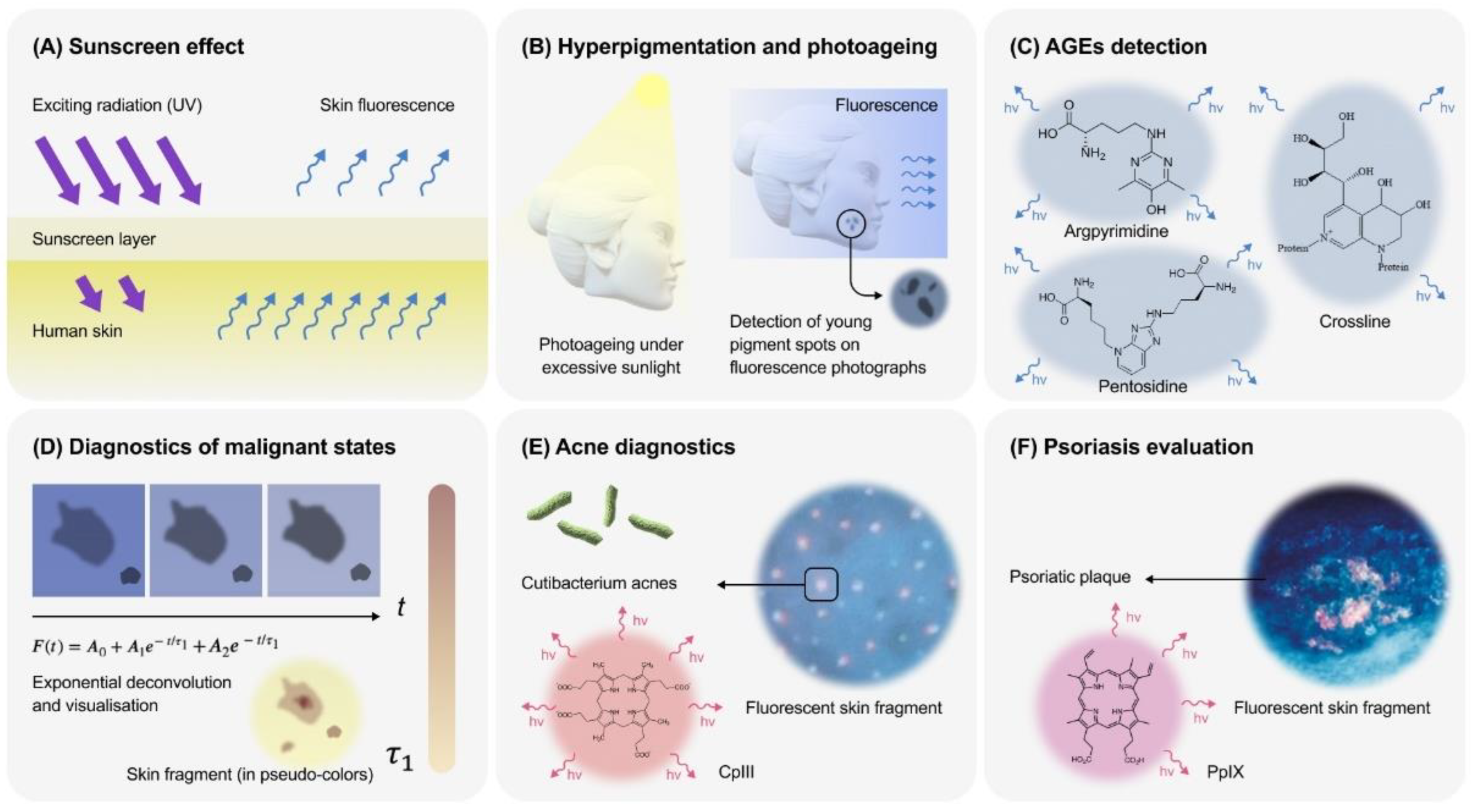 Life 14 01271 g003 Life 14 01271 g003