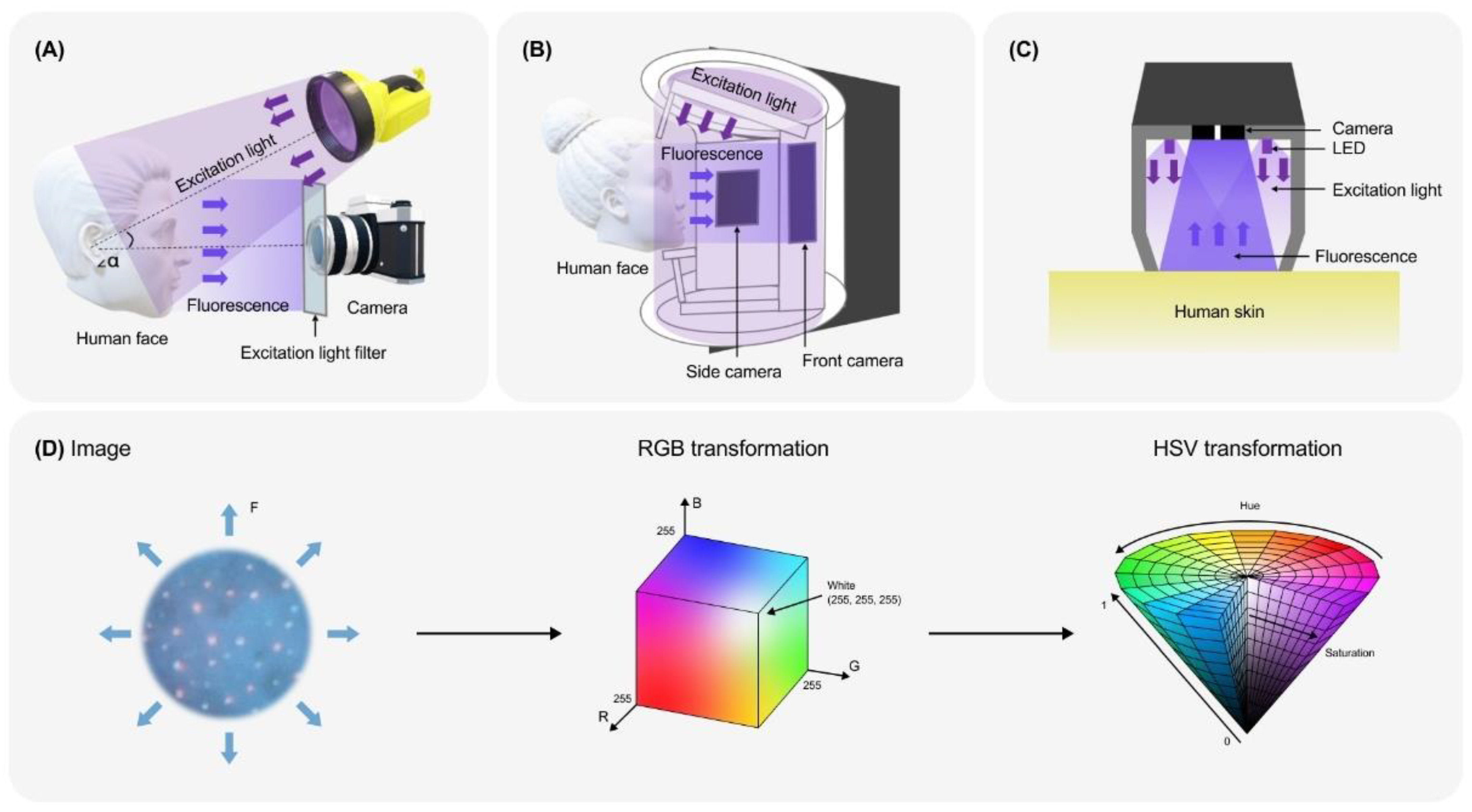 Life 14 01271 g004 Life 14 01271 g004