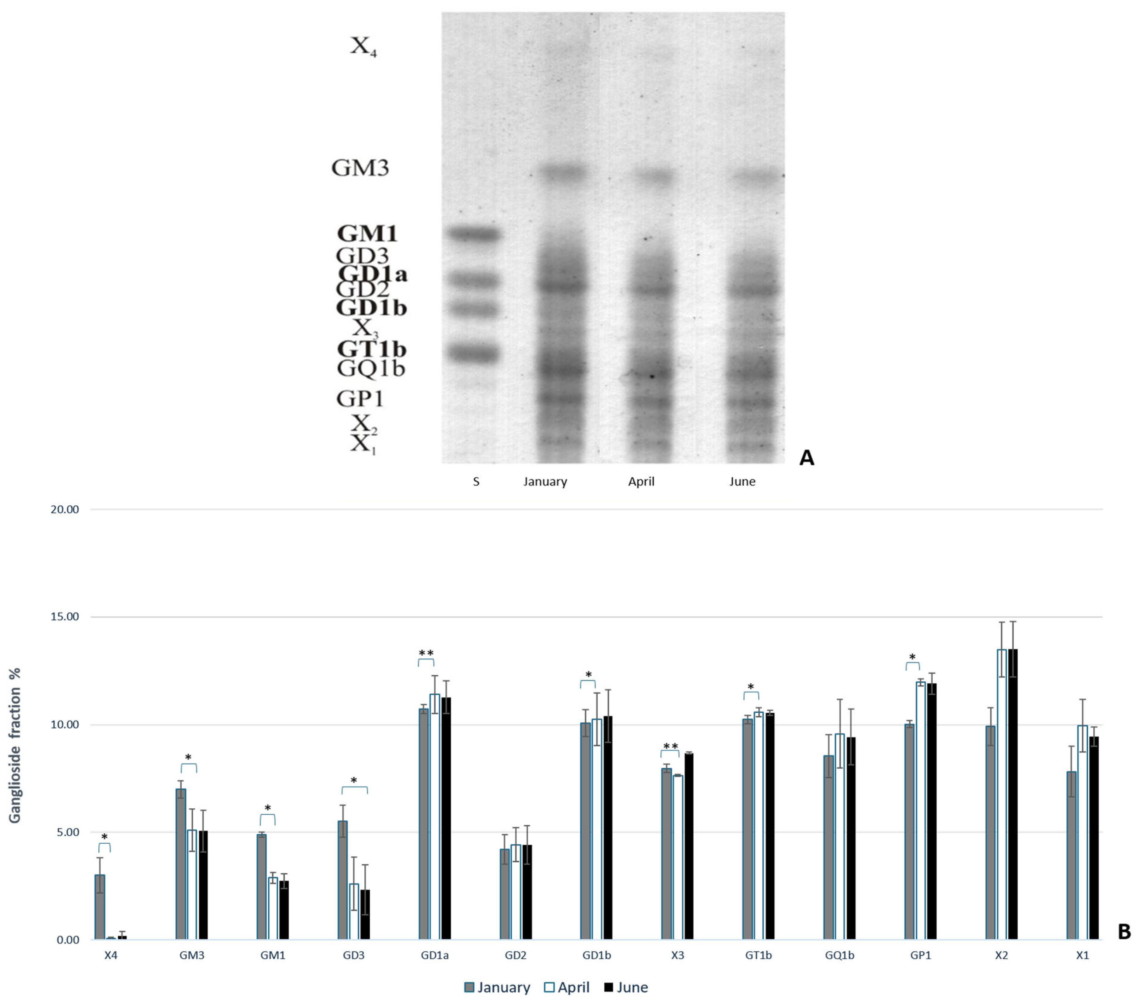 Life 14 01273 g002 Life 14 01273 g002