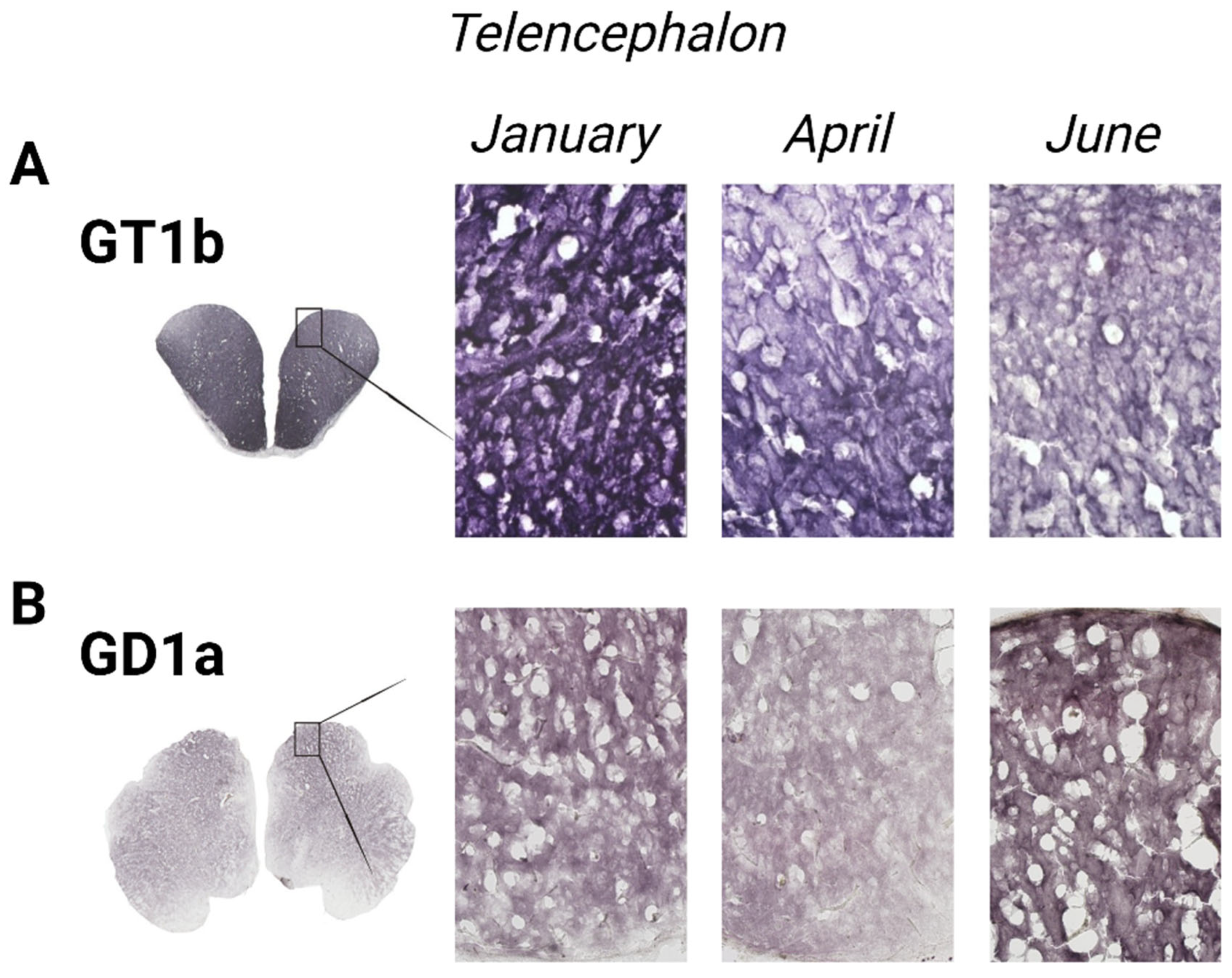 Life 14 01273 g007 Life 14 01273 g007