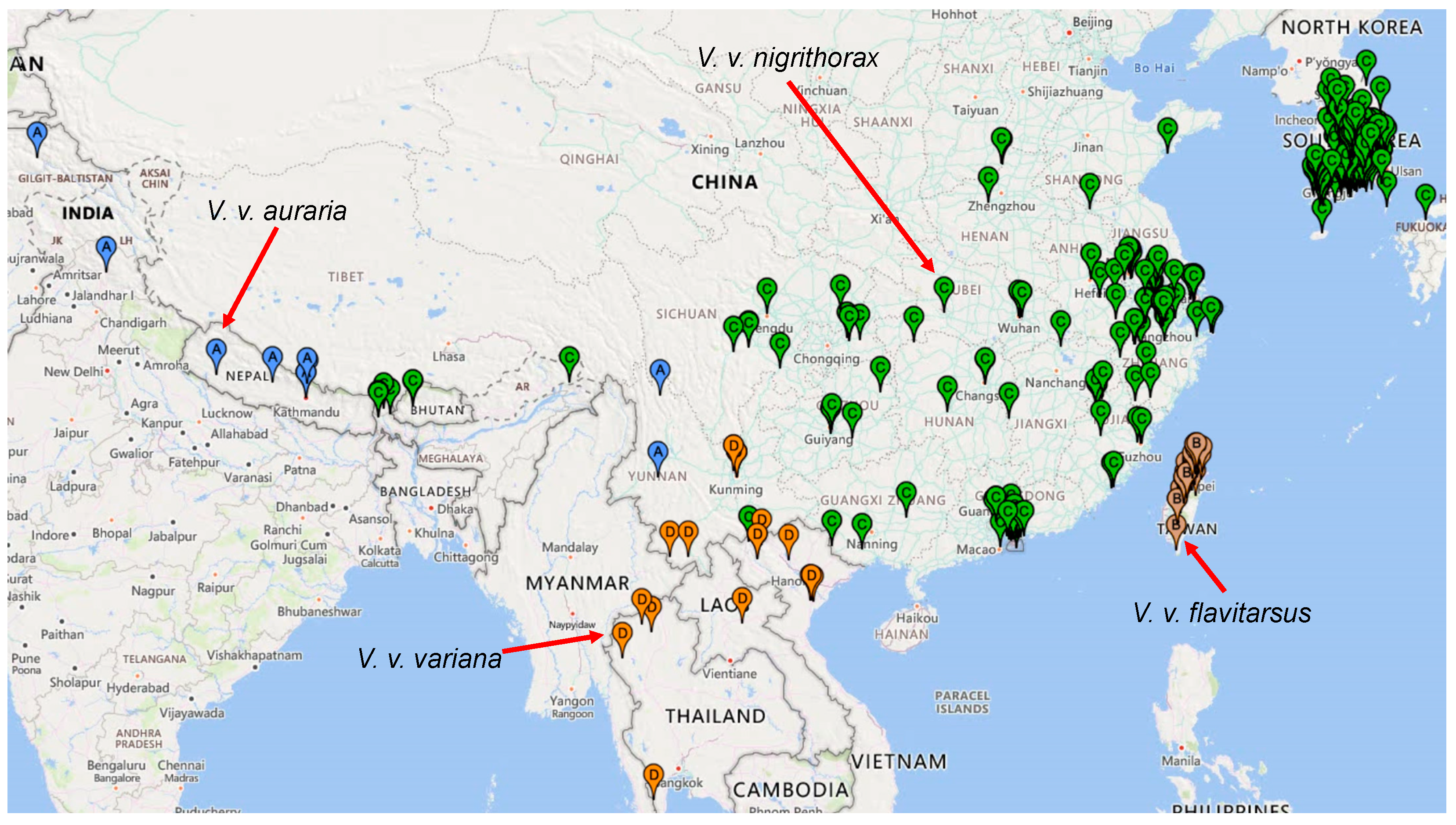 Life 14 01293 g004 Life 14 01293 g004