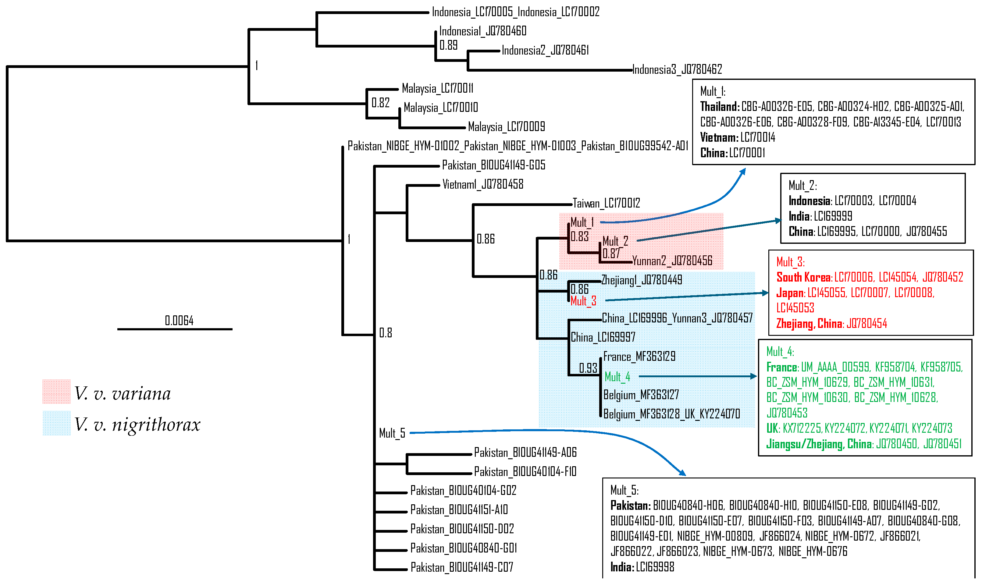 Life 14 01293 g005 Life 14 01293 g005