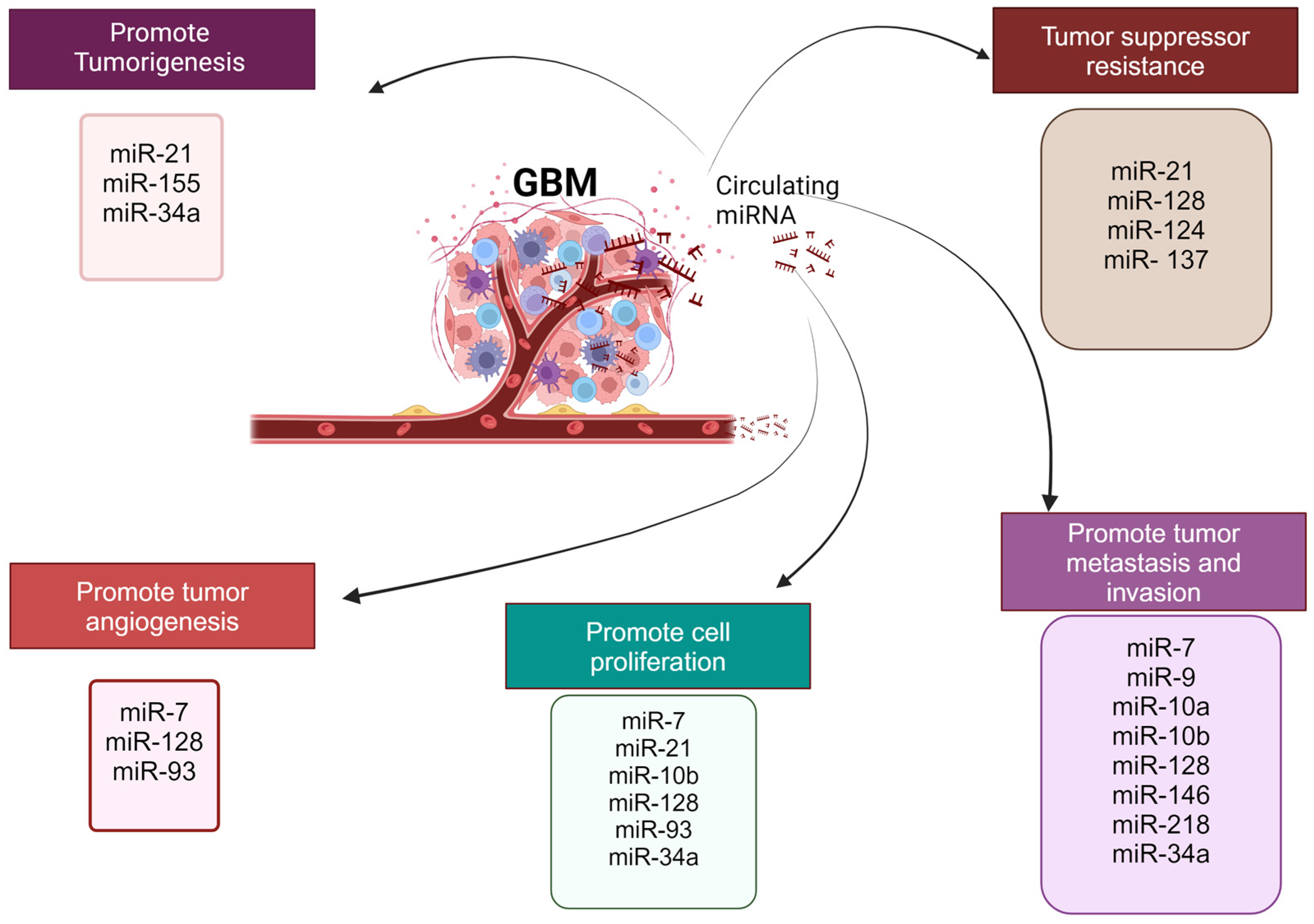 Life 14 01312 g002 Life 14 01312 g002