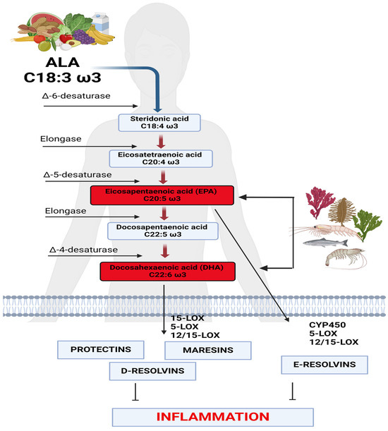 Omega3 and Sports Focus on Inflammation