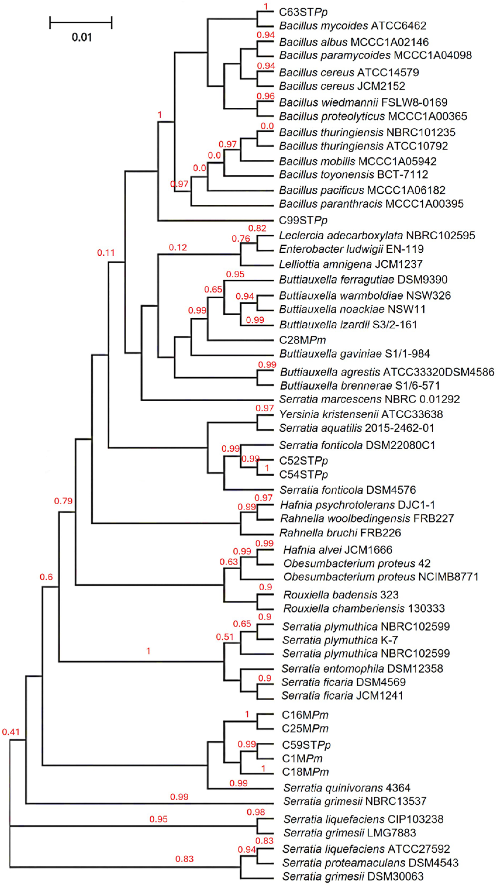 Life 14 01320 g001 Life 14 01320 g001