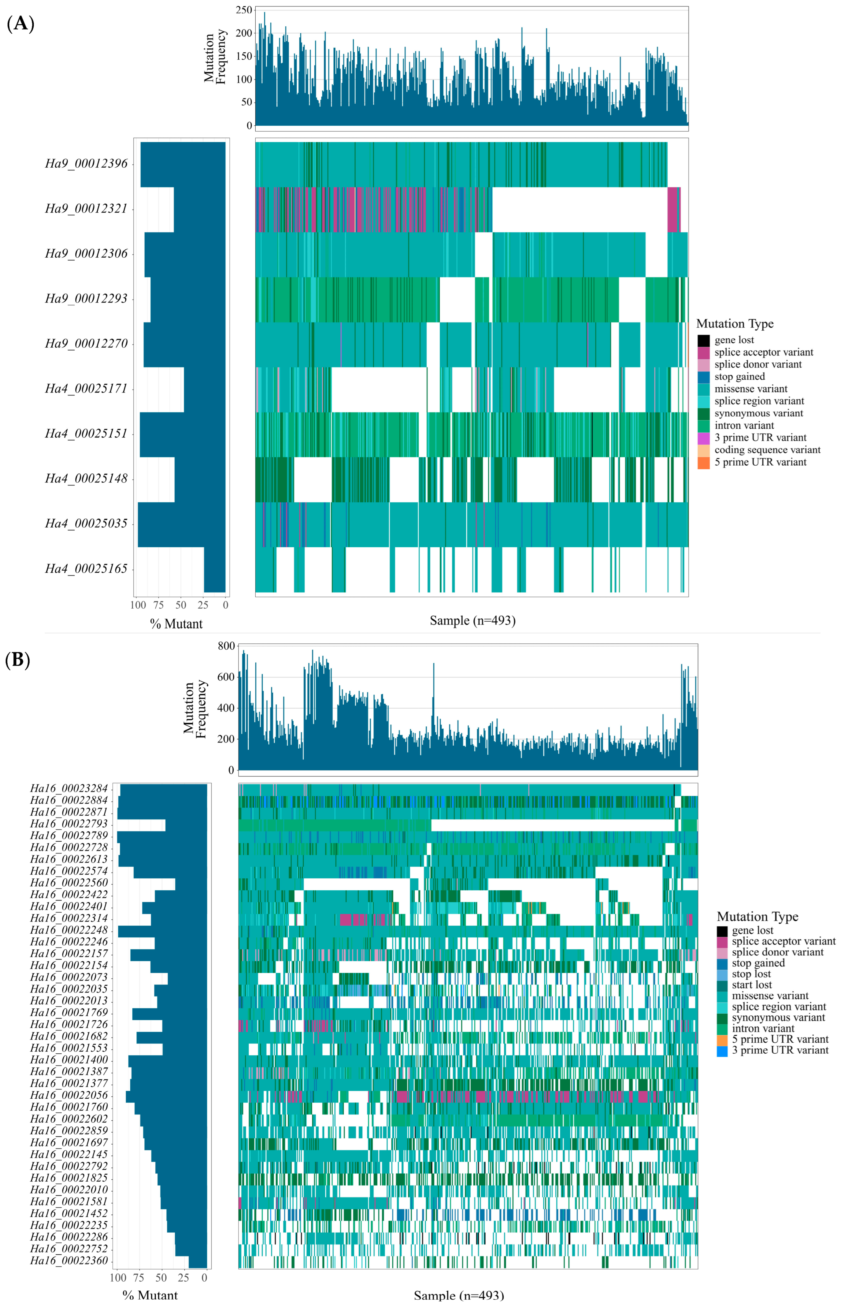 Life 14 01322 g003 Life 14 01322 g003