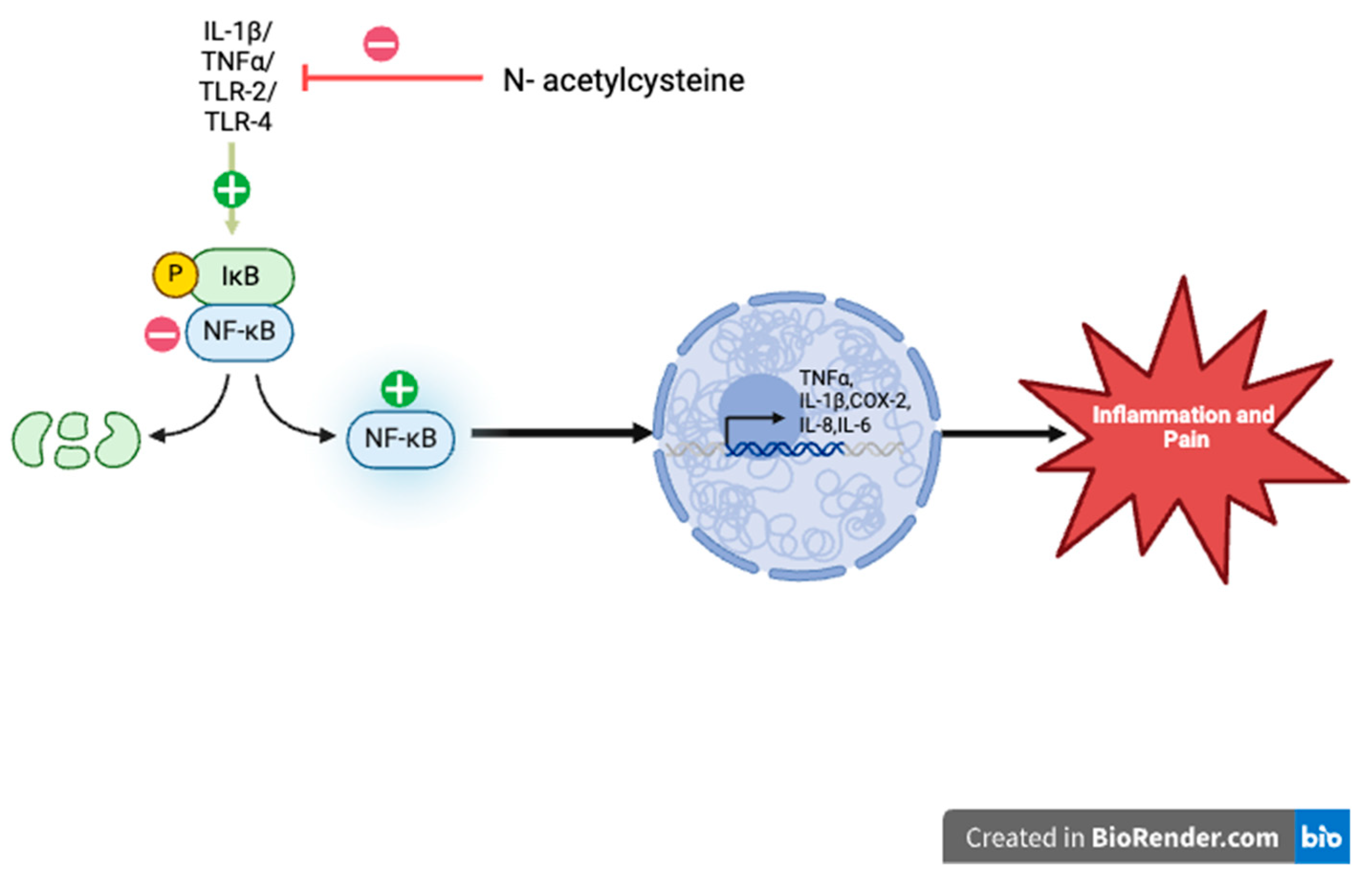 Life 14 01361 g002 Life 14 01361 g002