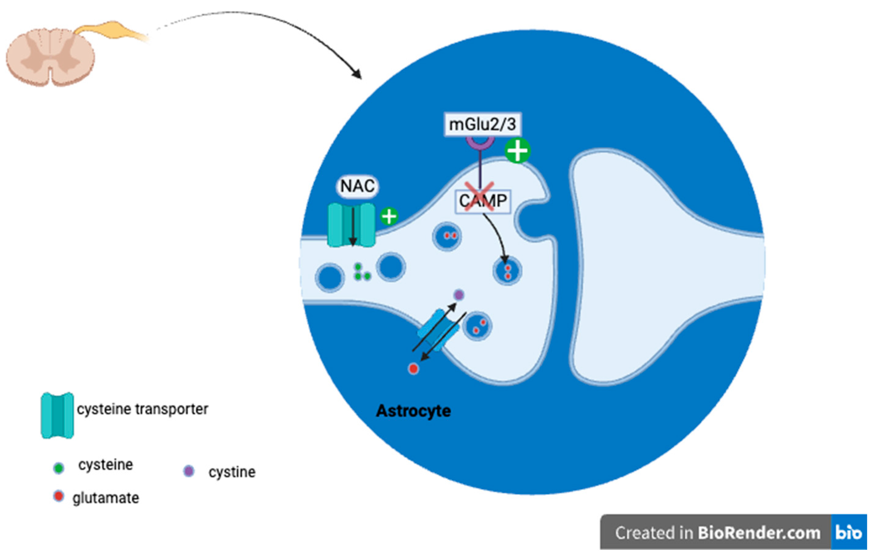 Life 14 01361 g003 Life 14 01361 g003