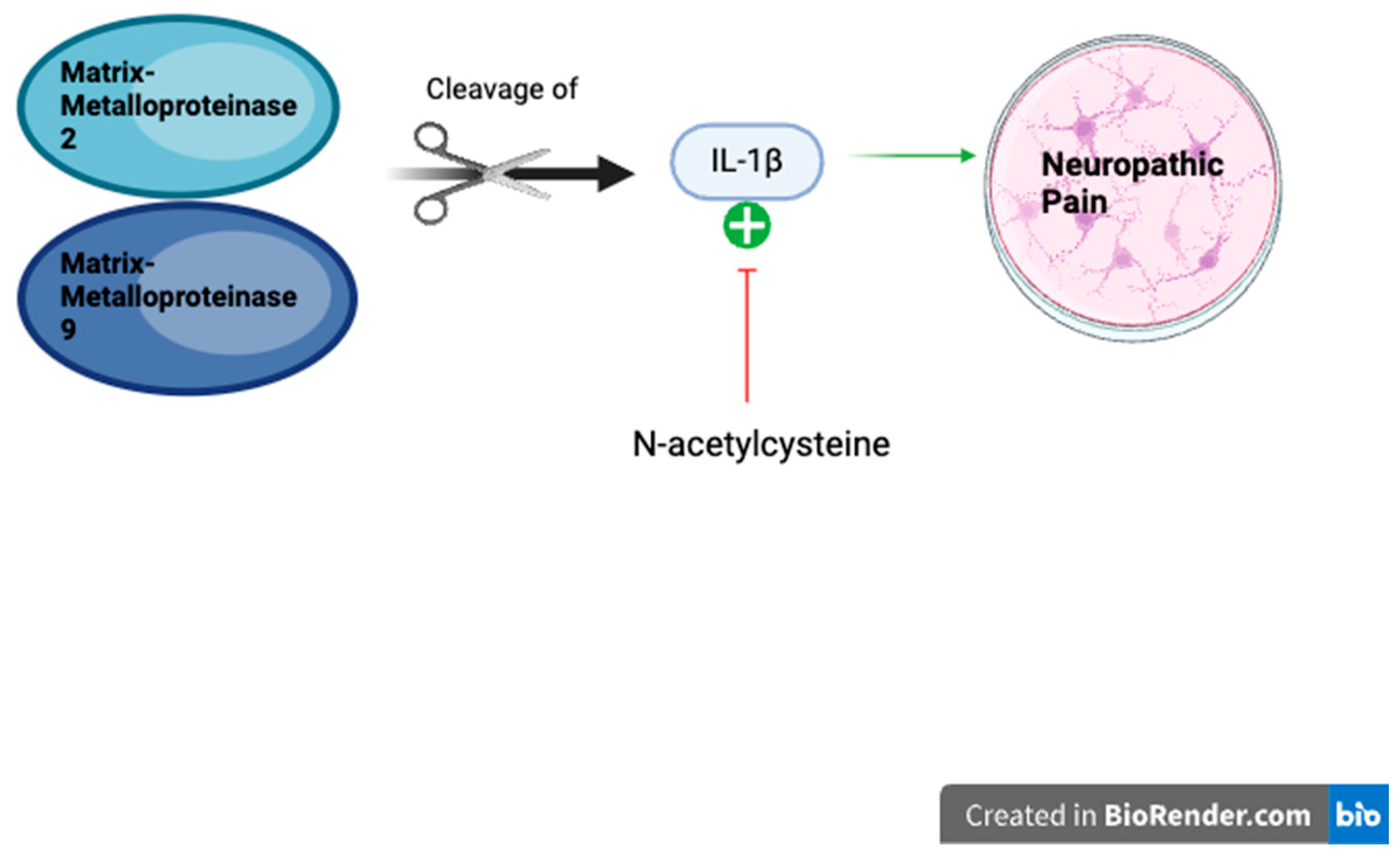 Life 14 01361 g004 Life 14 01361 g004
