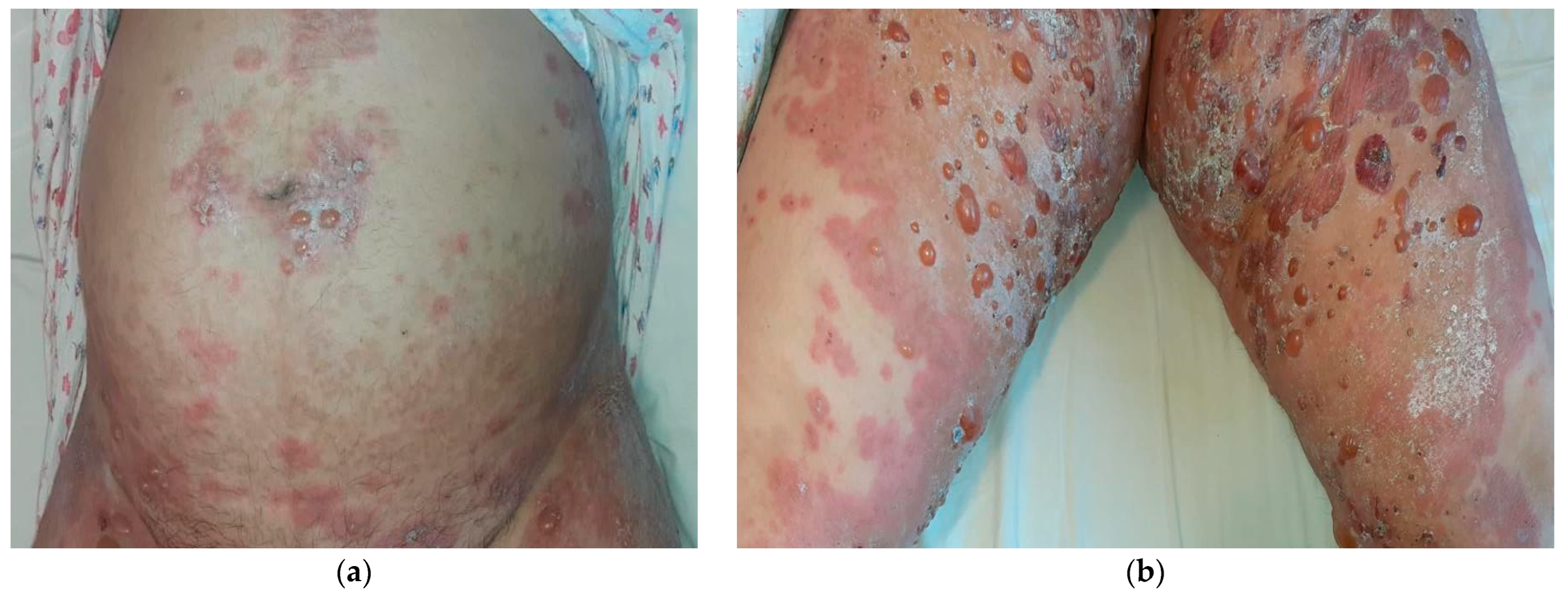 Life 14 01427 g001 Life 14 01427 g001