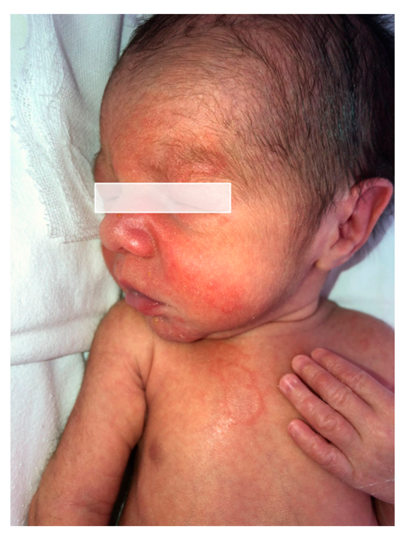 Life 14 01427 g002 Life 14 01427 g002