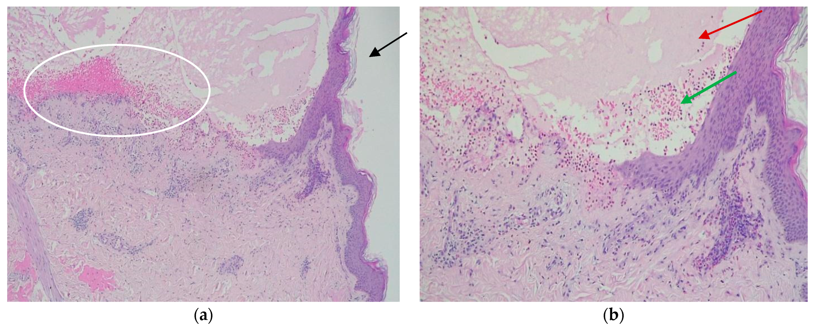 Life 14 01427 g003 Life 14 01427 g003