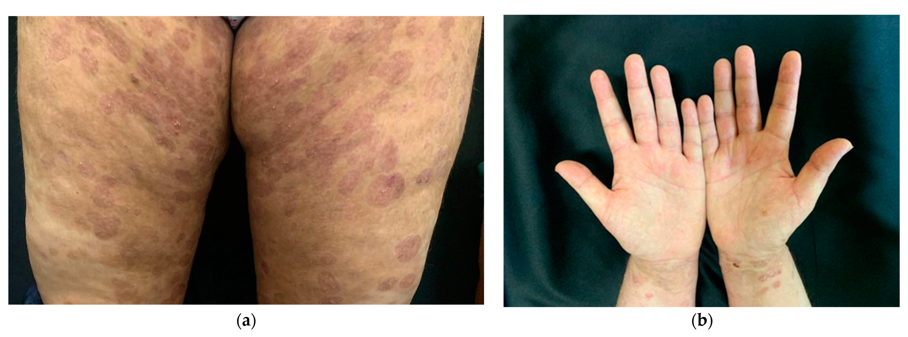 Life 14 01427 g004 Life 14 01427 g004