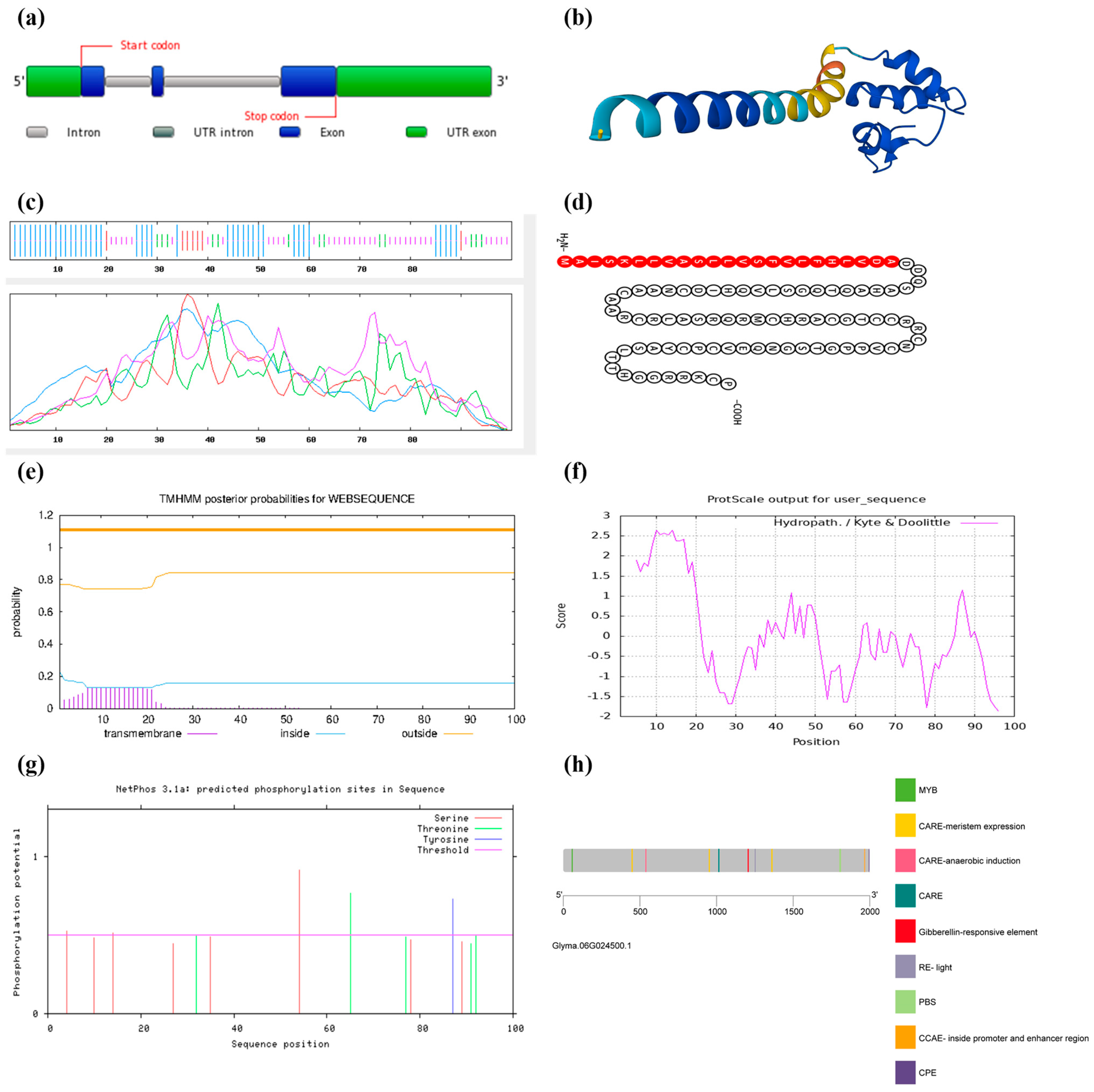 Life 14 01436 g001 Life 14 01436 g001