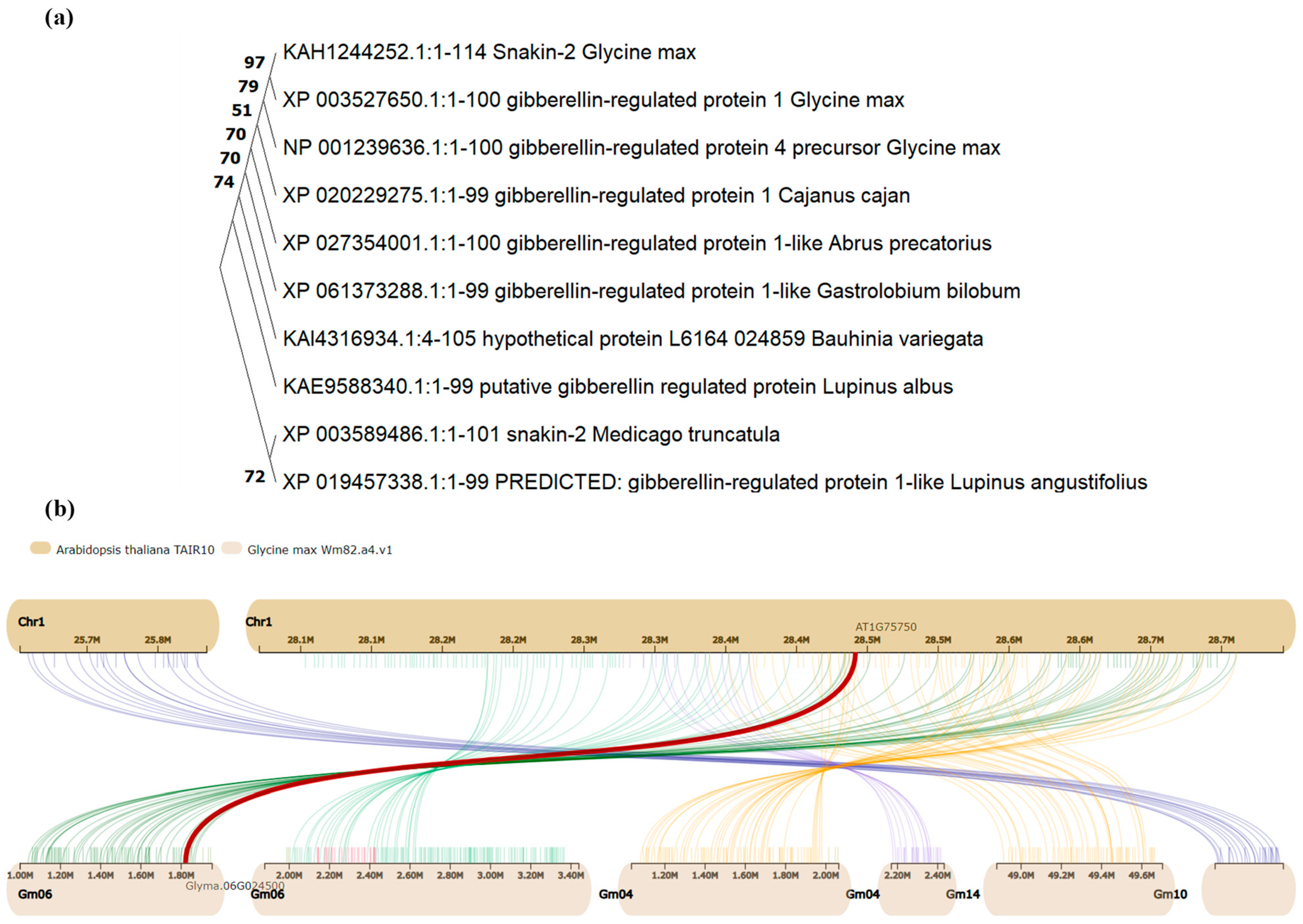 Life 14 01436 g002 Life 14 01436 g002