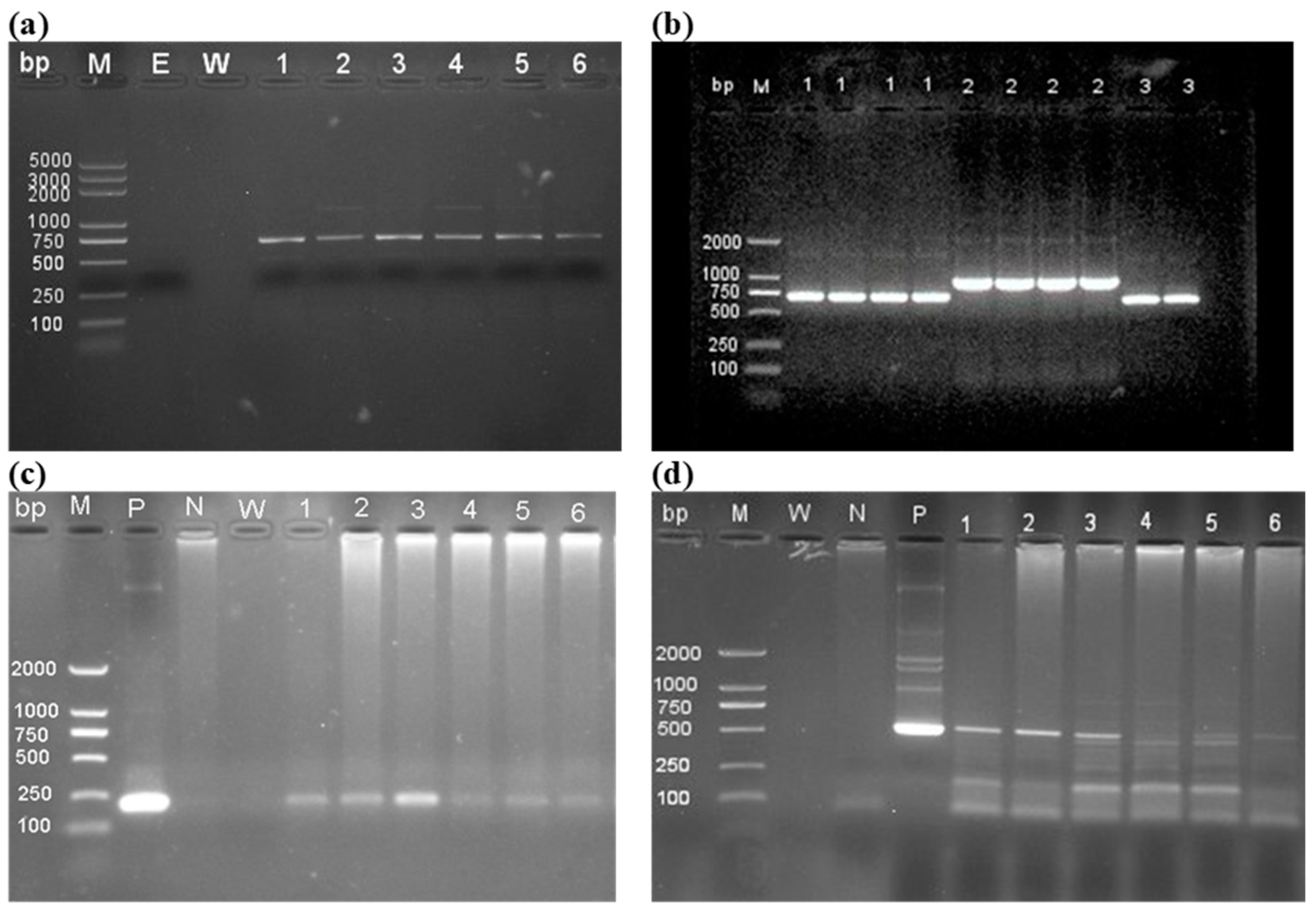 Life 14 01436 g003 Life 14 01436 g003