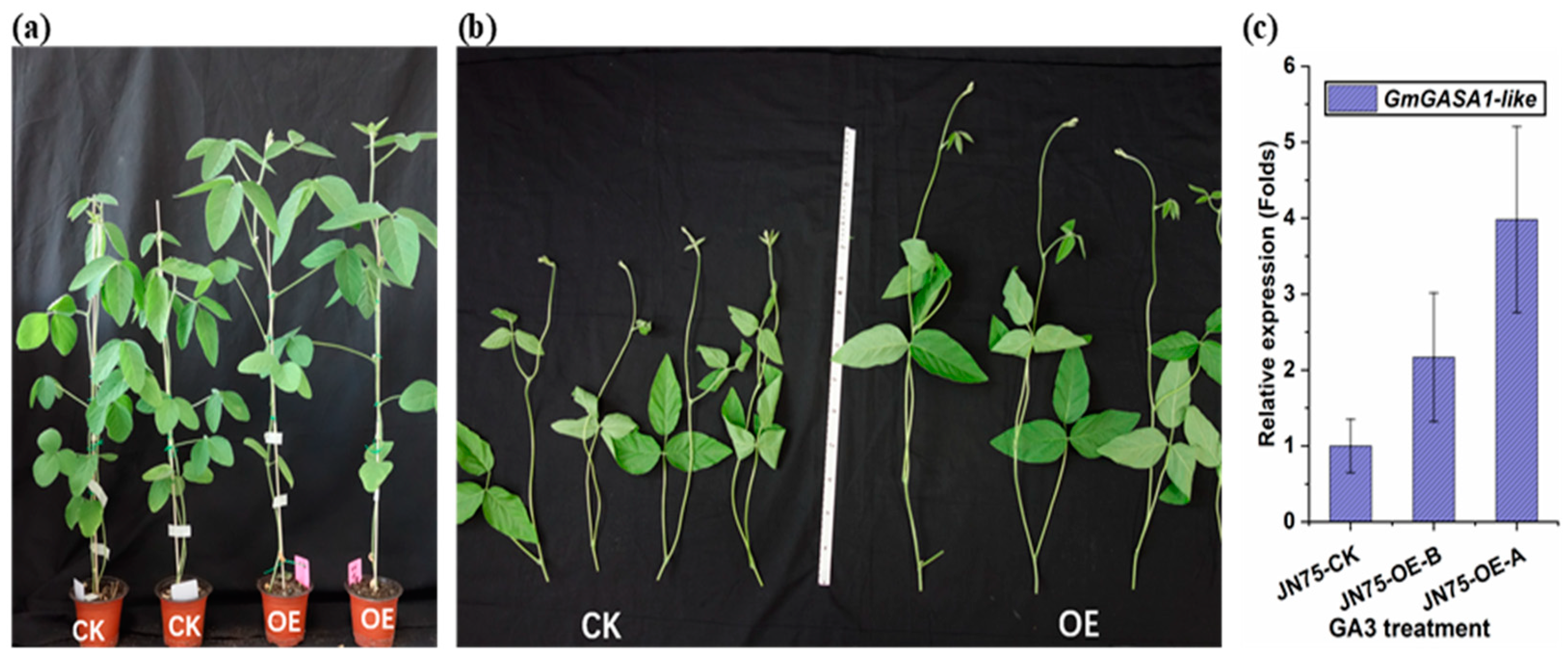 Life 14 01436 g006 Life 14 01436 g006