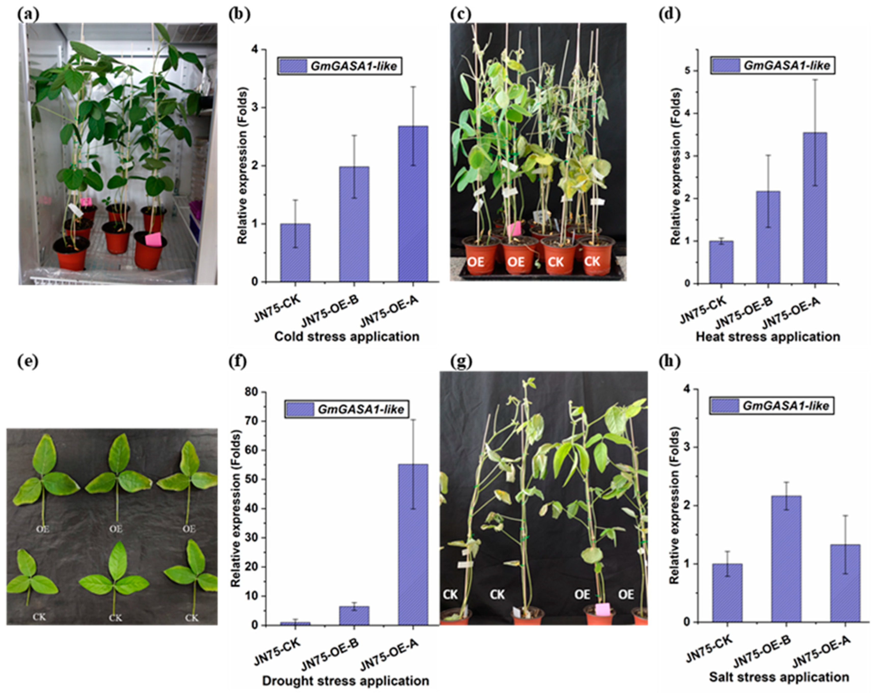 Life 14 01436 g007 Life 14 01436 g007