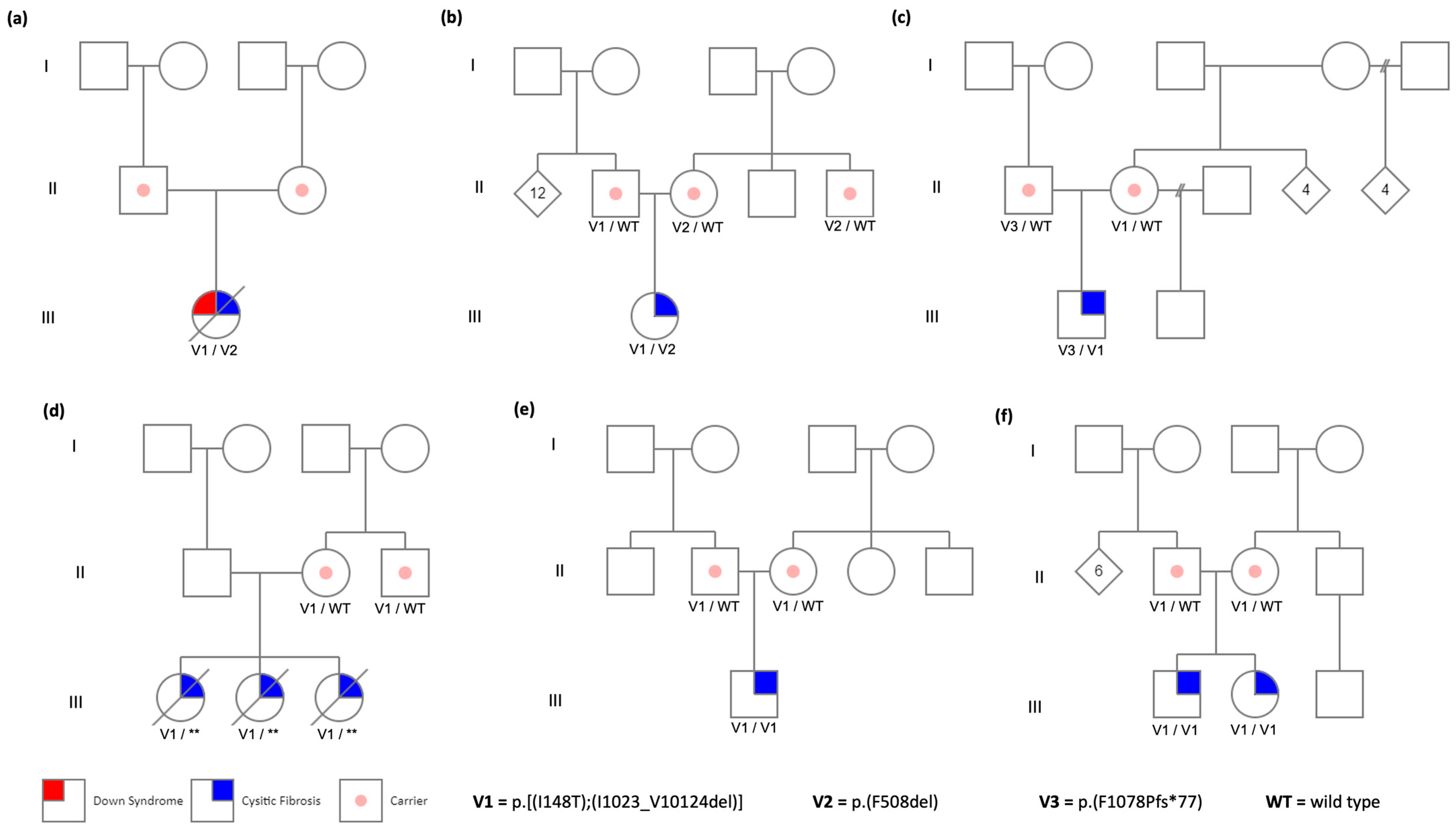 Life 14 01445 g001 Life 14 01445 g001