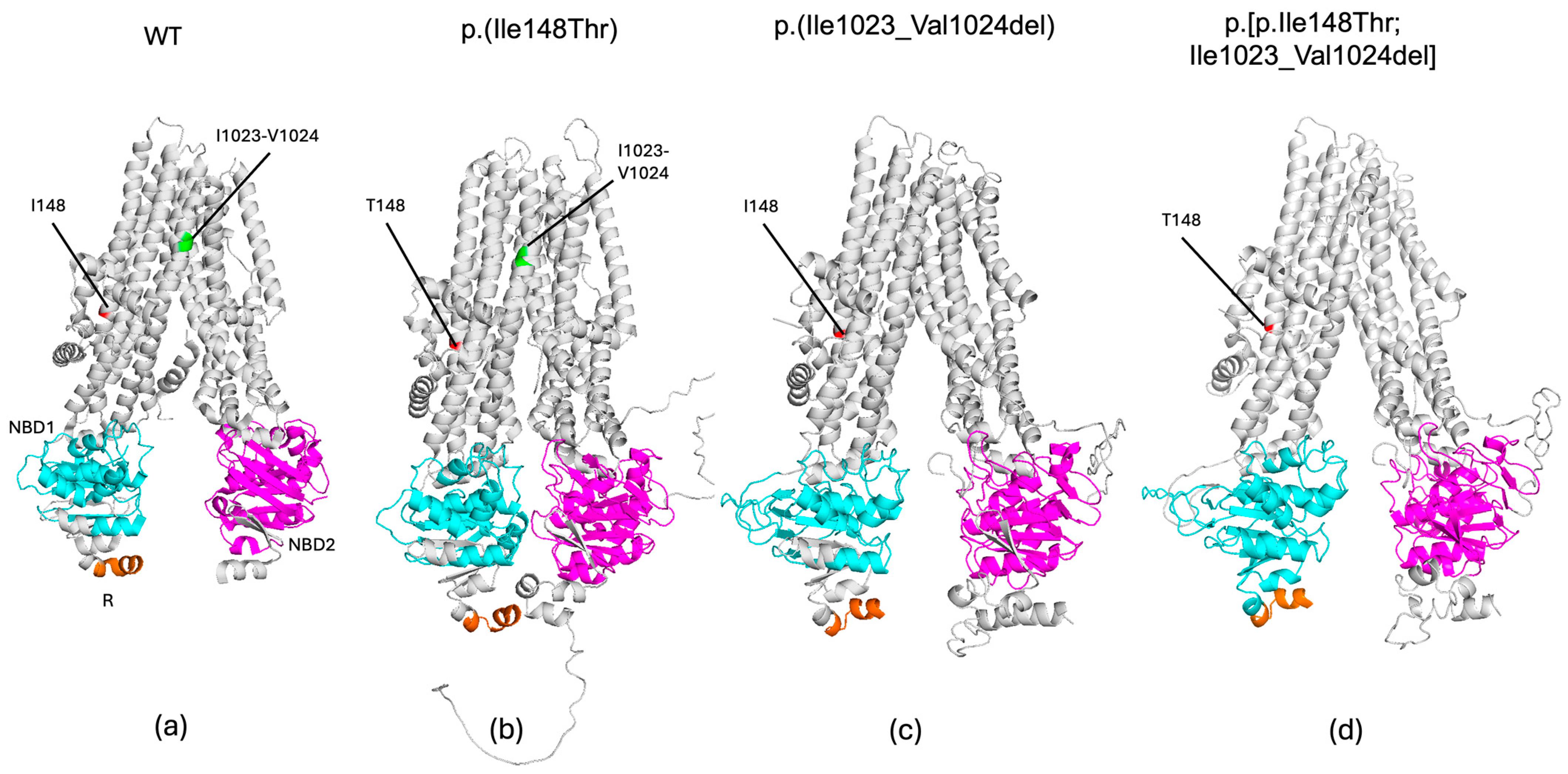 Life 14 01445 g003 Life 14 01445 g003
