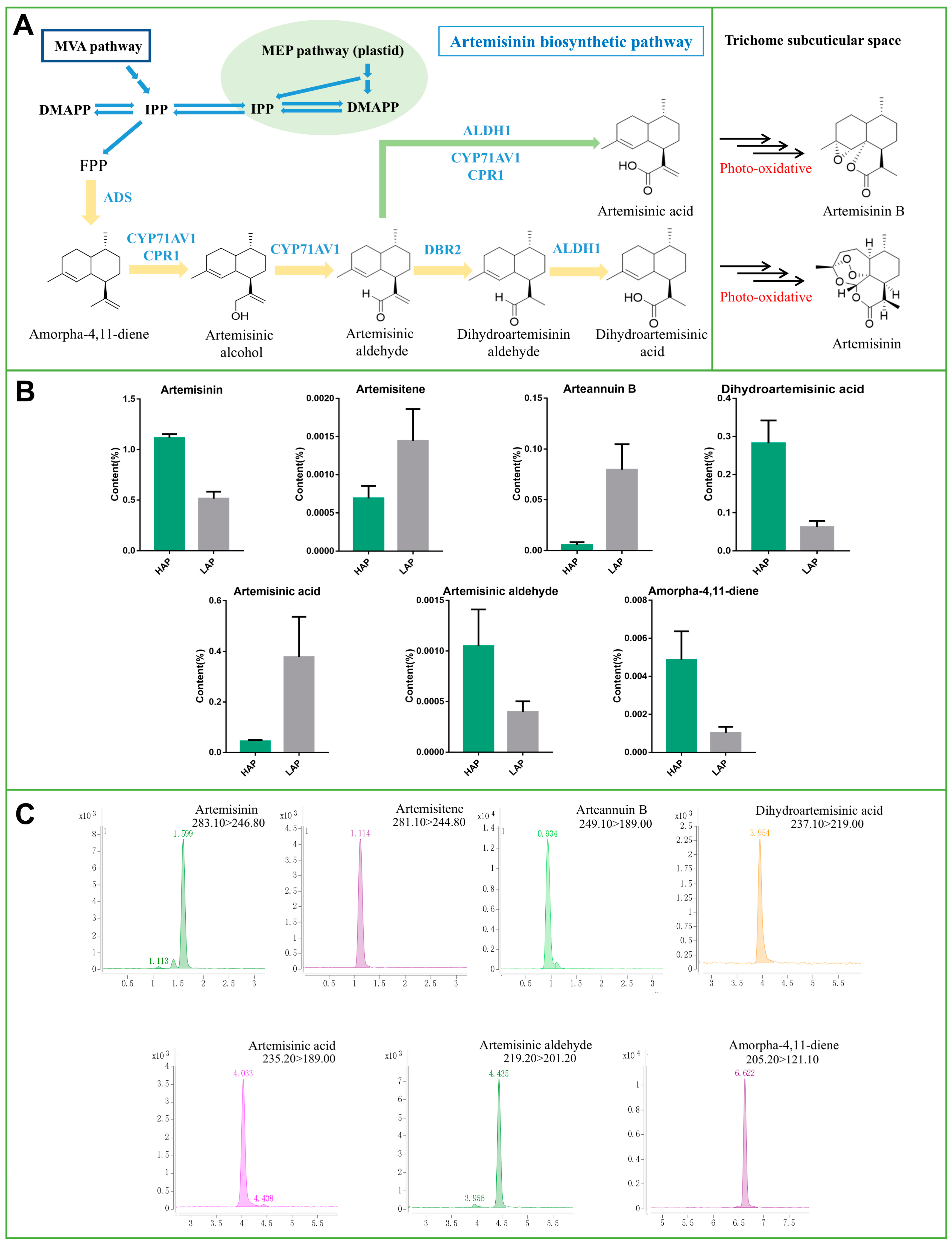 Life 14 01462 g001 Life 14 01462 g001