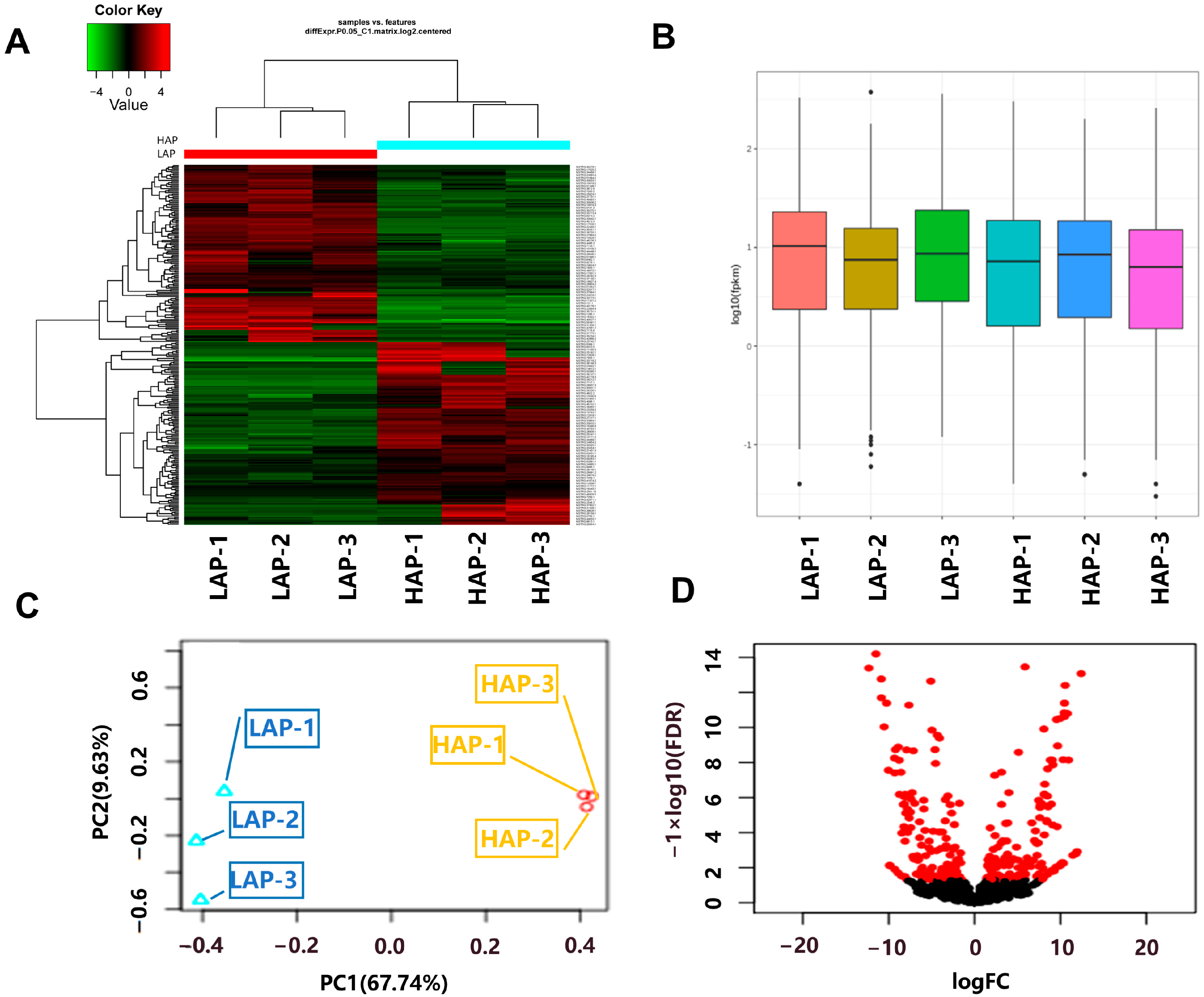 Life 14 01462 g003 Life 14 01462 g003