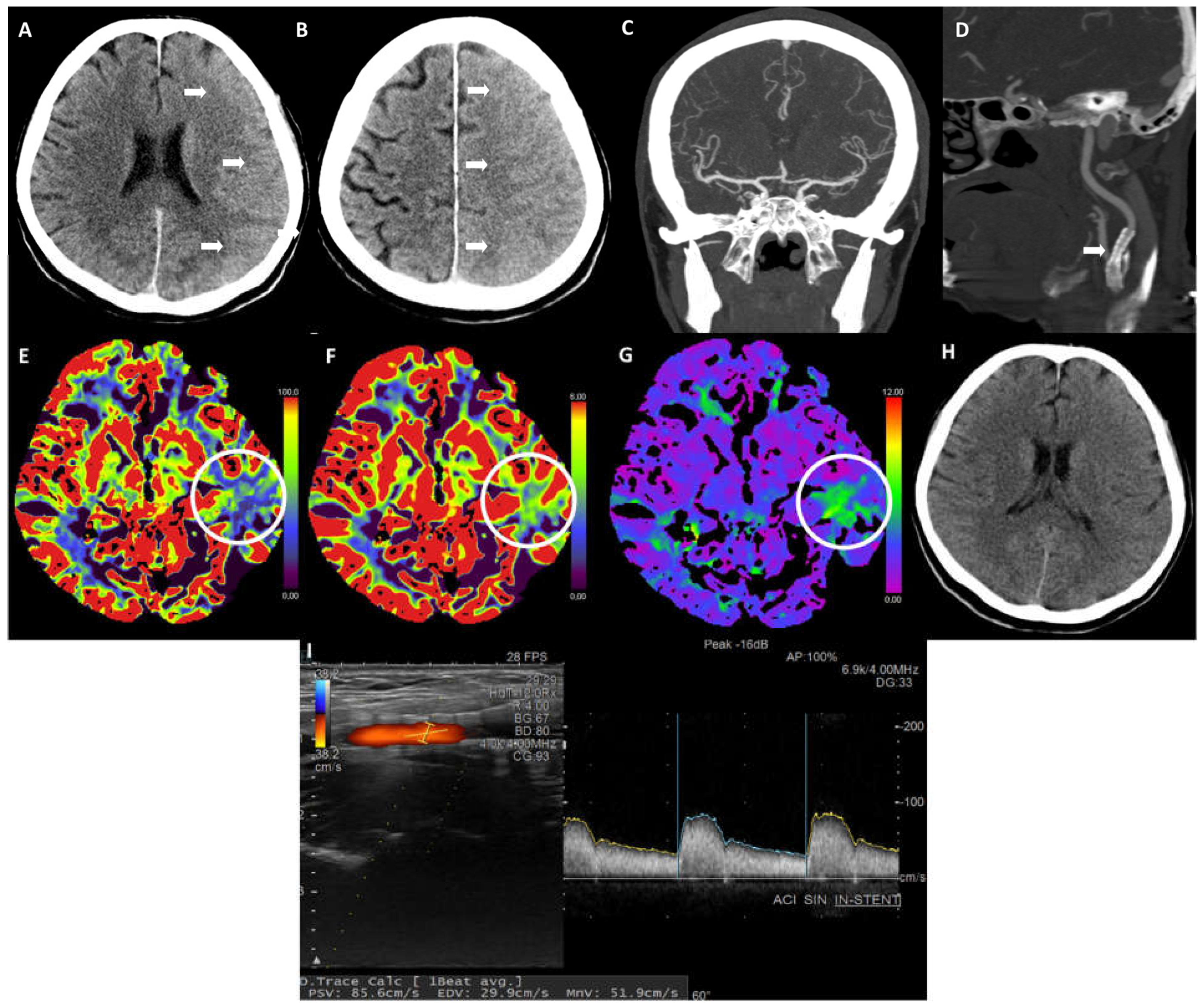 Life 14 01472 g002 Life 14 01472 g002