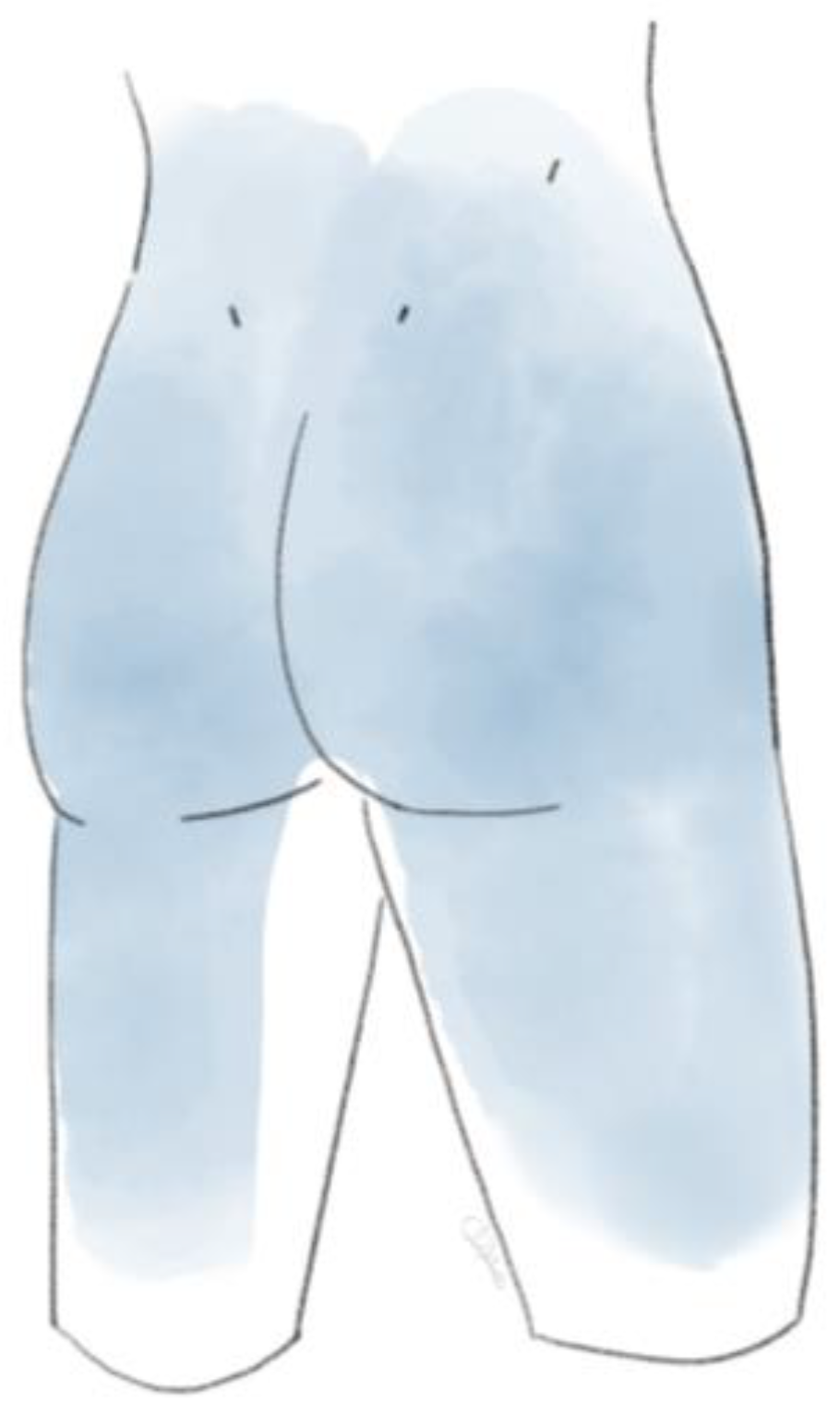 Life 14 01480 g002 Life 14 01480 g002