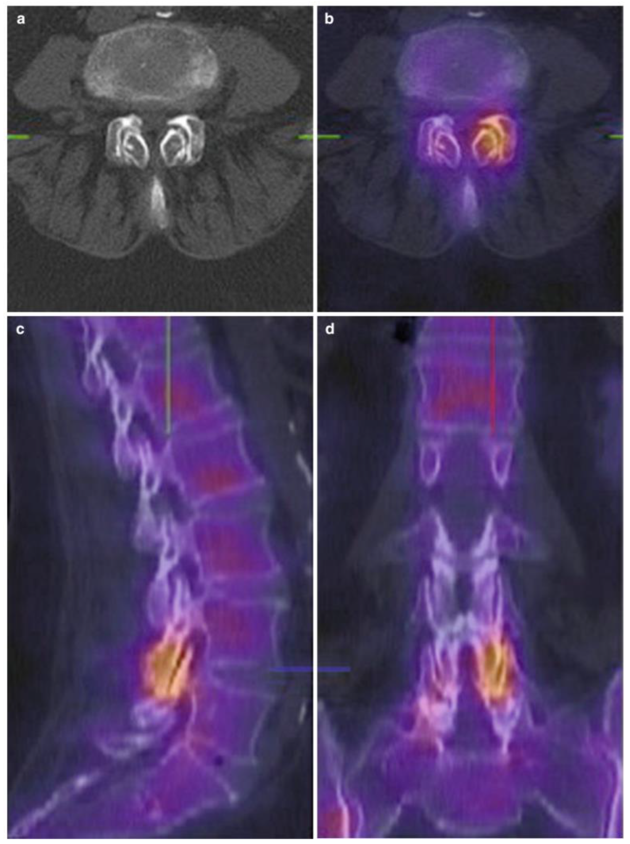 Life 14 01480 g003 Life 14 01480 g003
